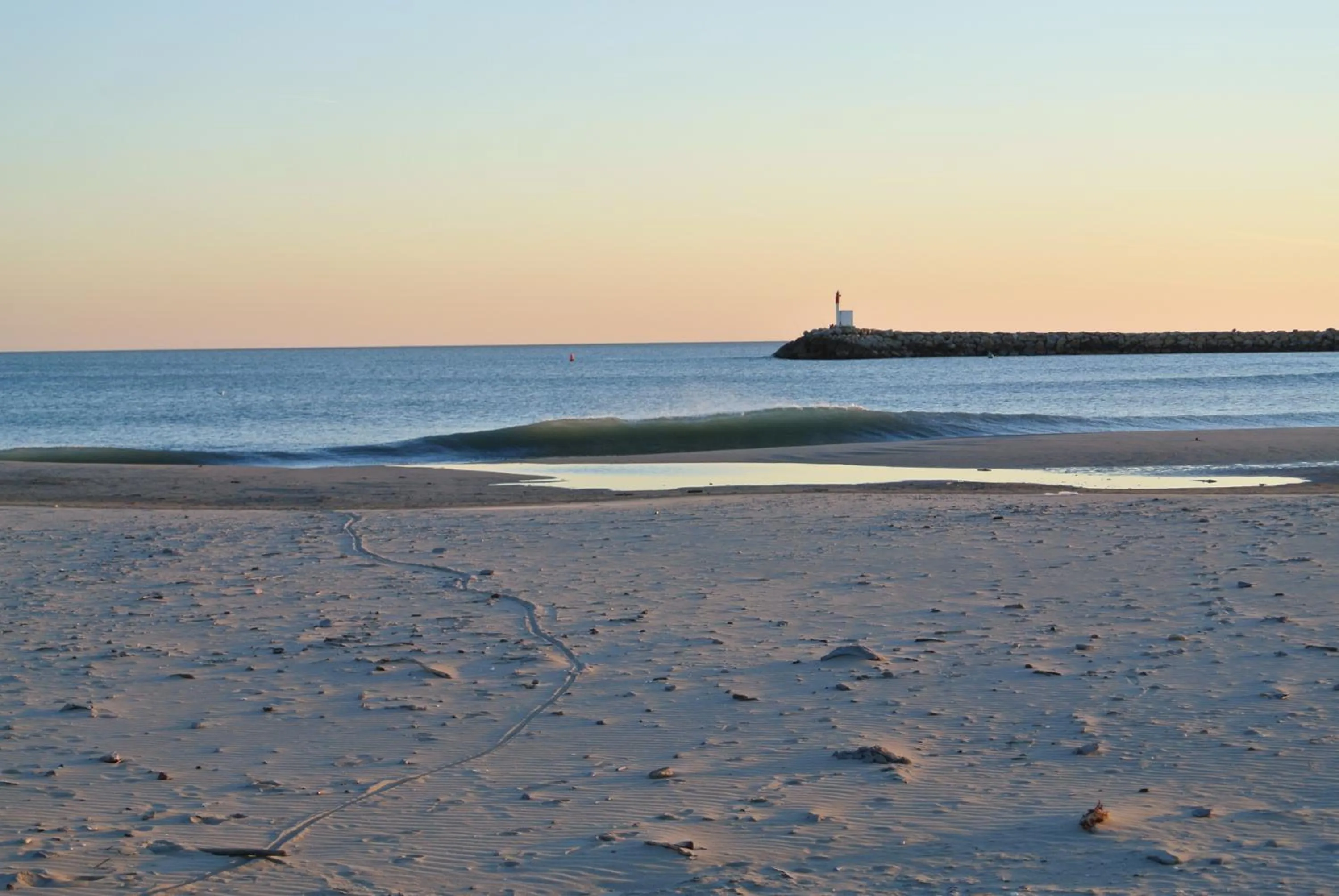 Area and facilities in Hotel Les Palmiers En Camargue