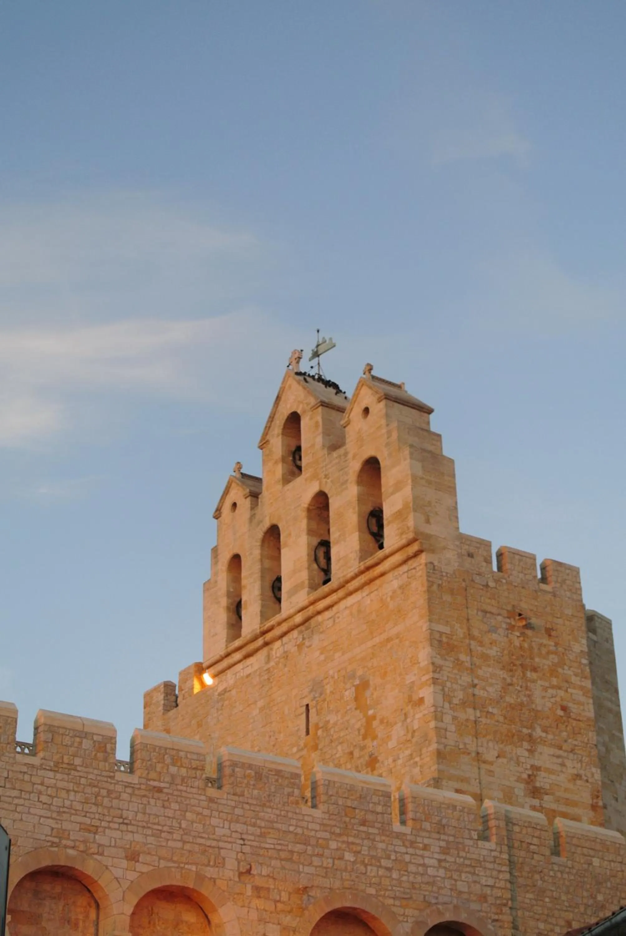 Area and facilities in Hotel Les Palmiers En Camargue