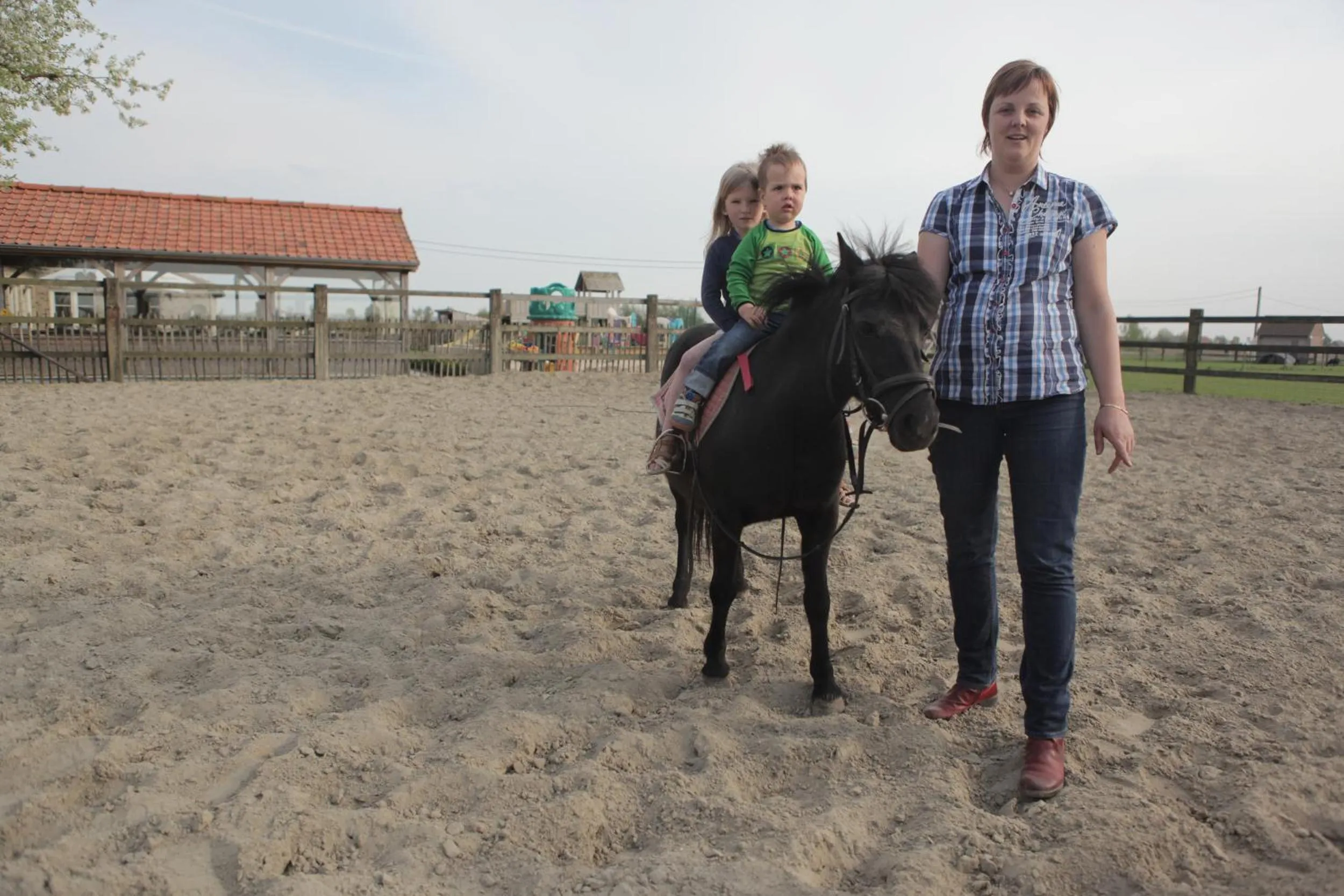 Horse-riding in Gasthof Schraevenacker