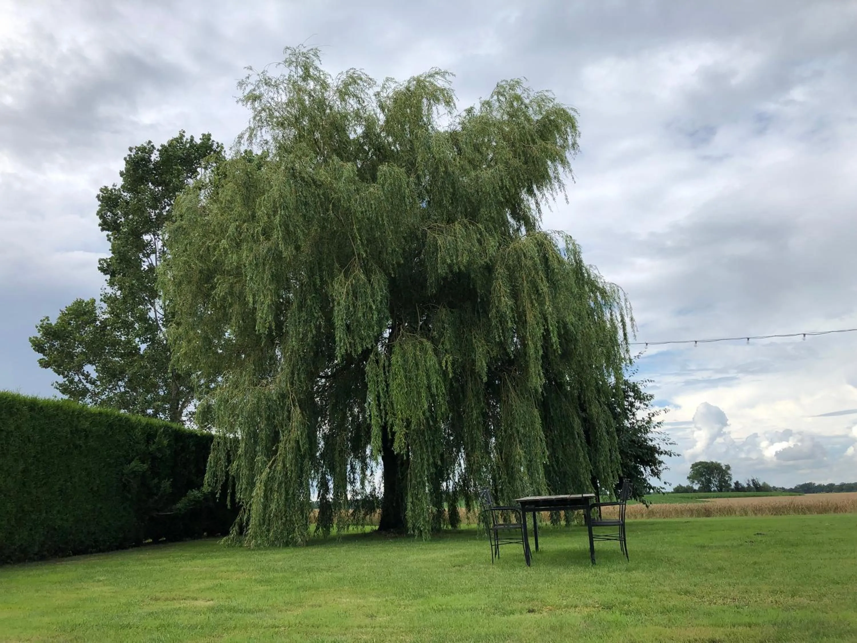 Property building in D'Hommelbelle