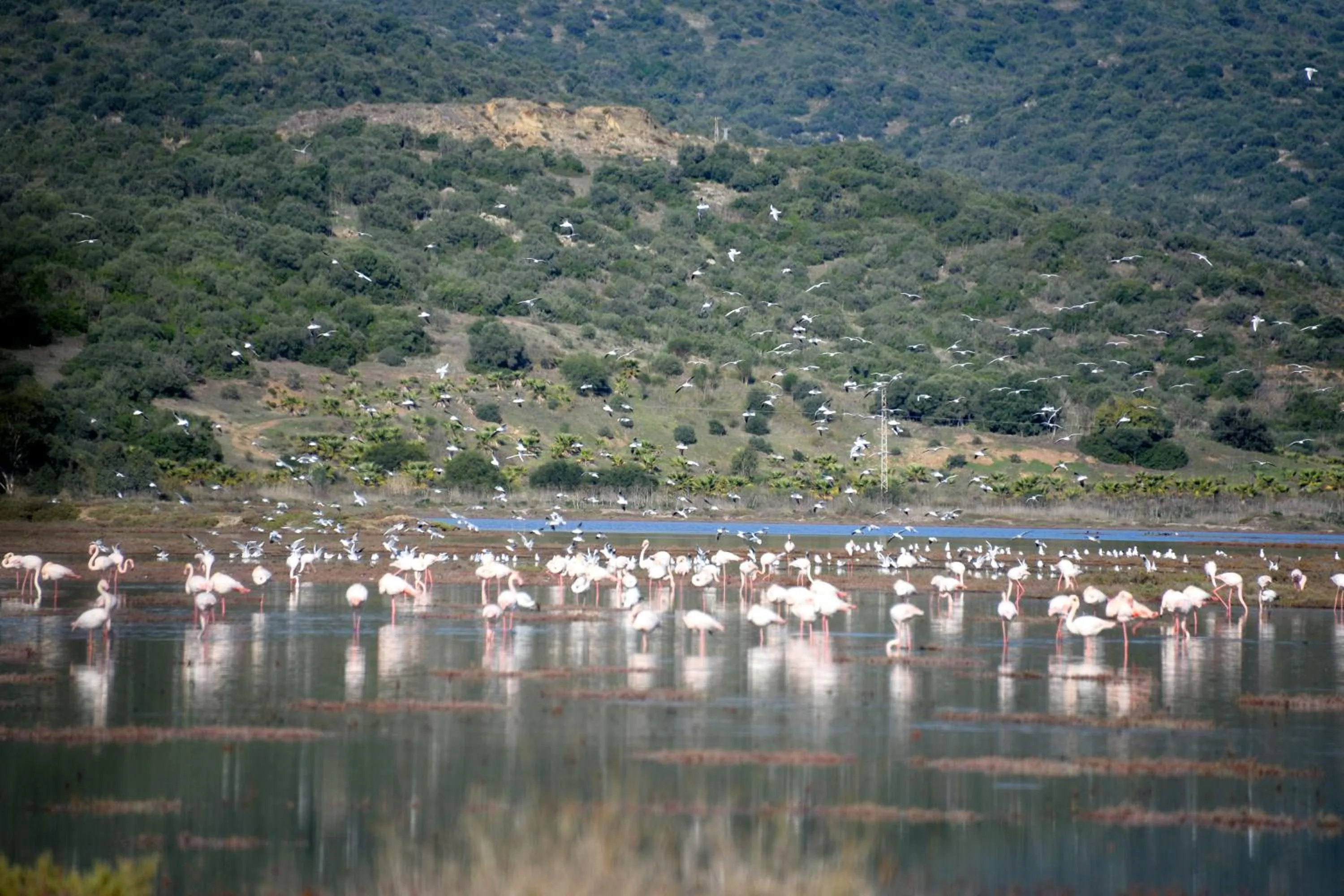 Natural landscape in Yalicapkini Boutique Hotel