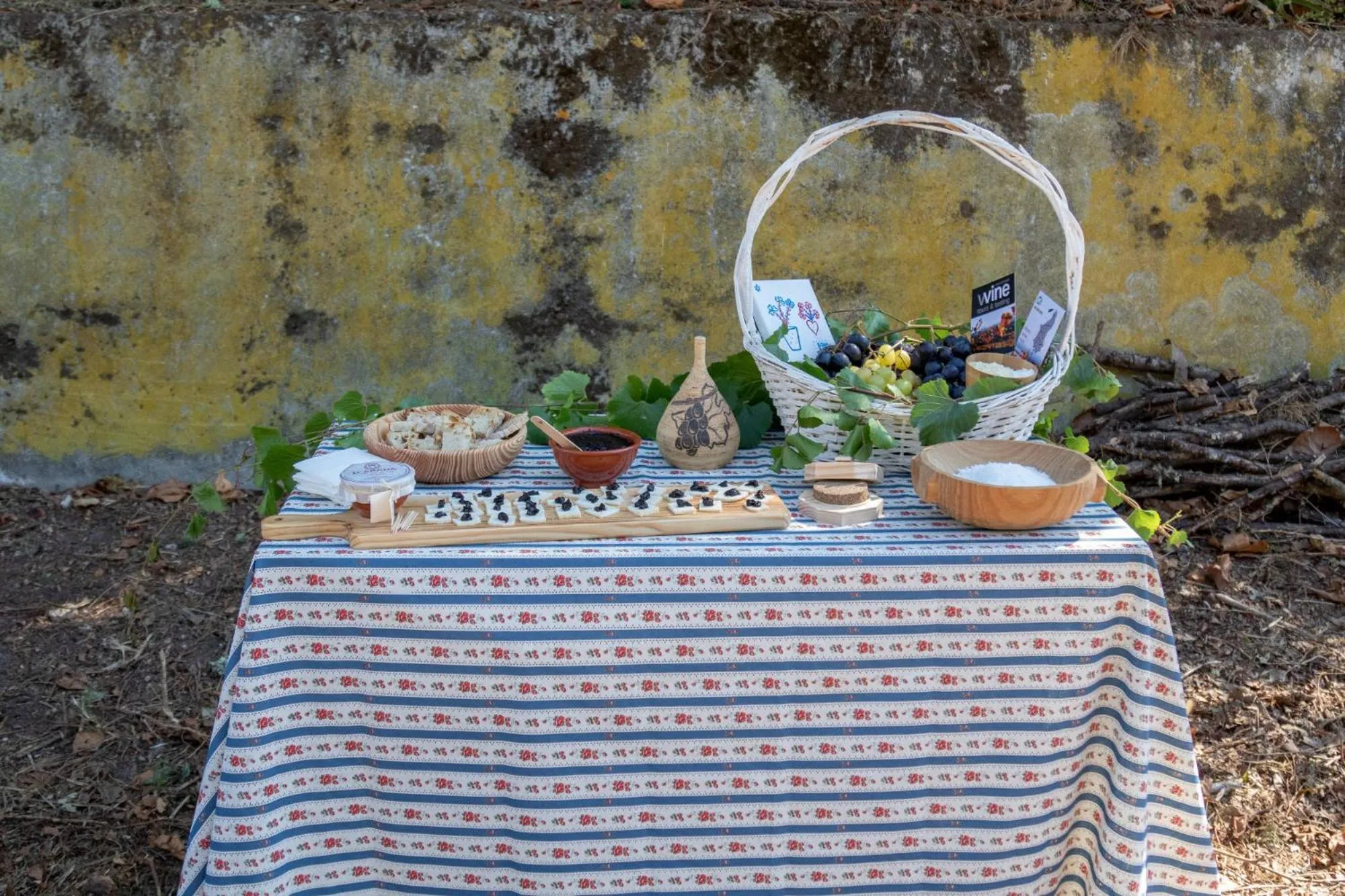 Activities in Quinta da Foz