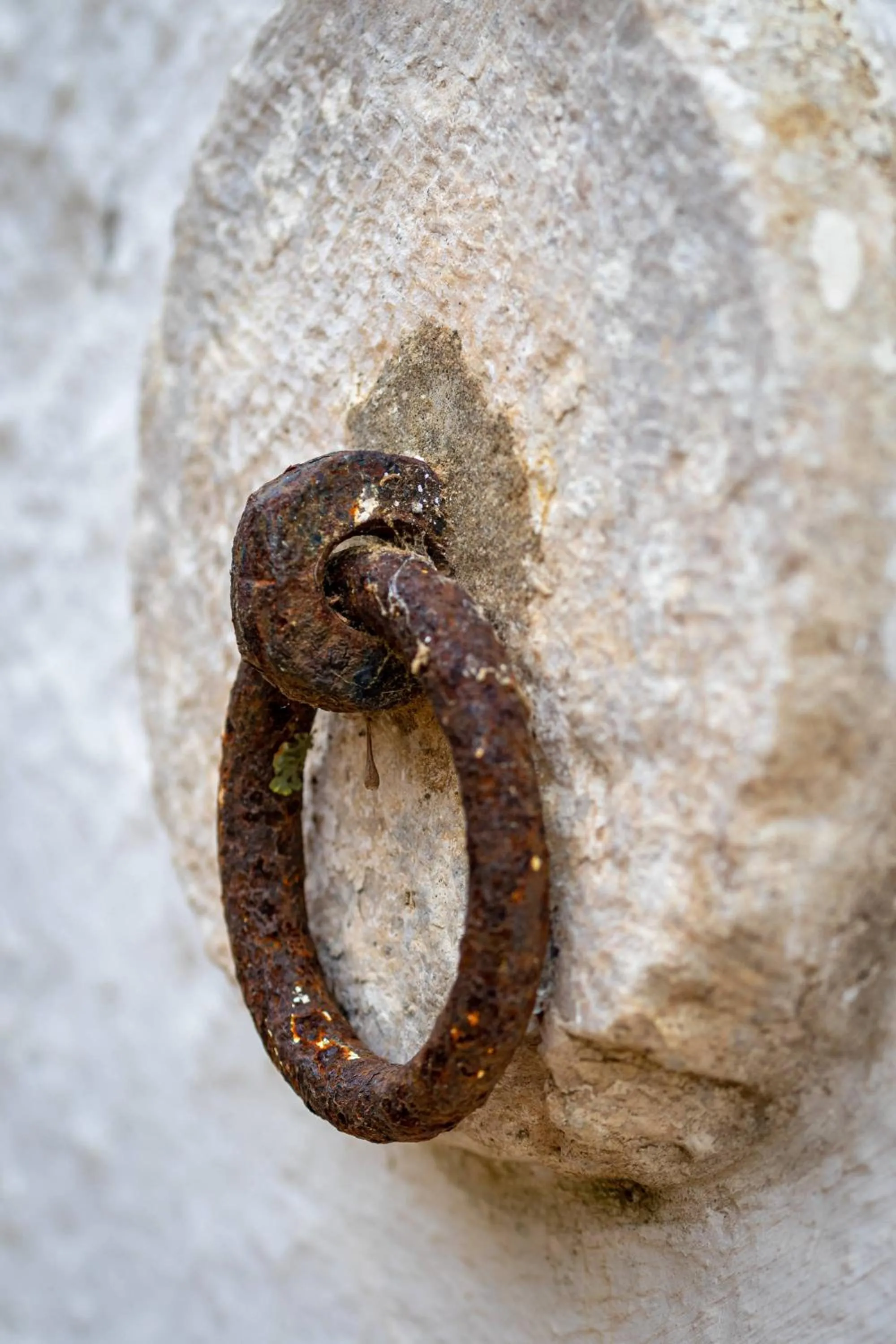 Decorative detail in Quinta da Foz