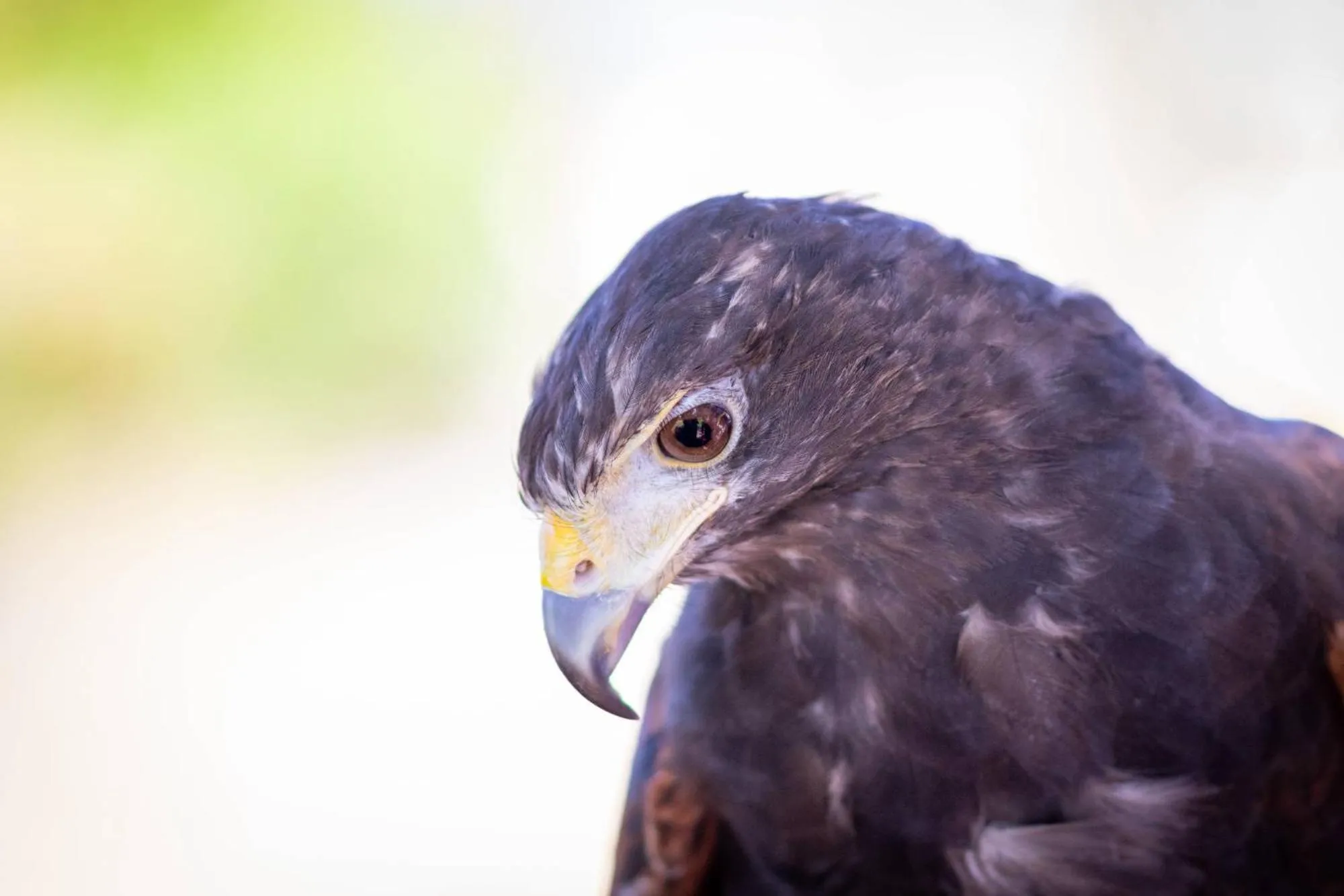 Activities in Quinta da Foz