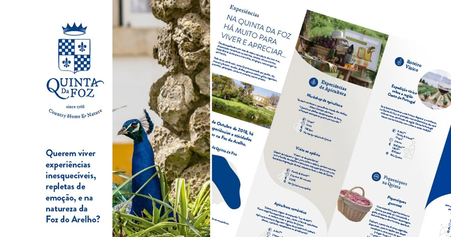 Activities in Quinta da Foz