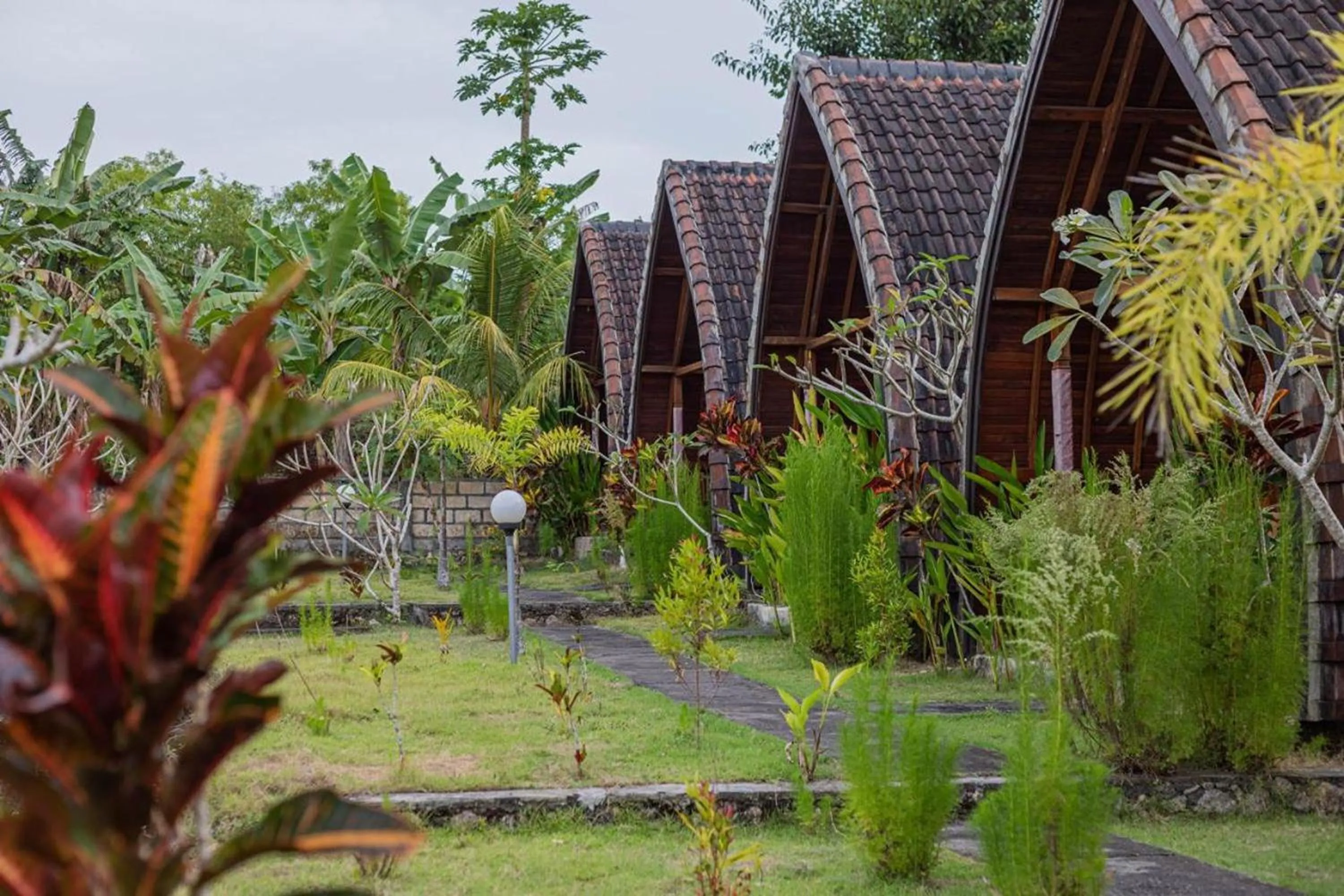 Garden in The Sweet Corn Bungalow