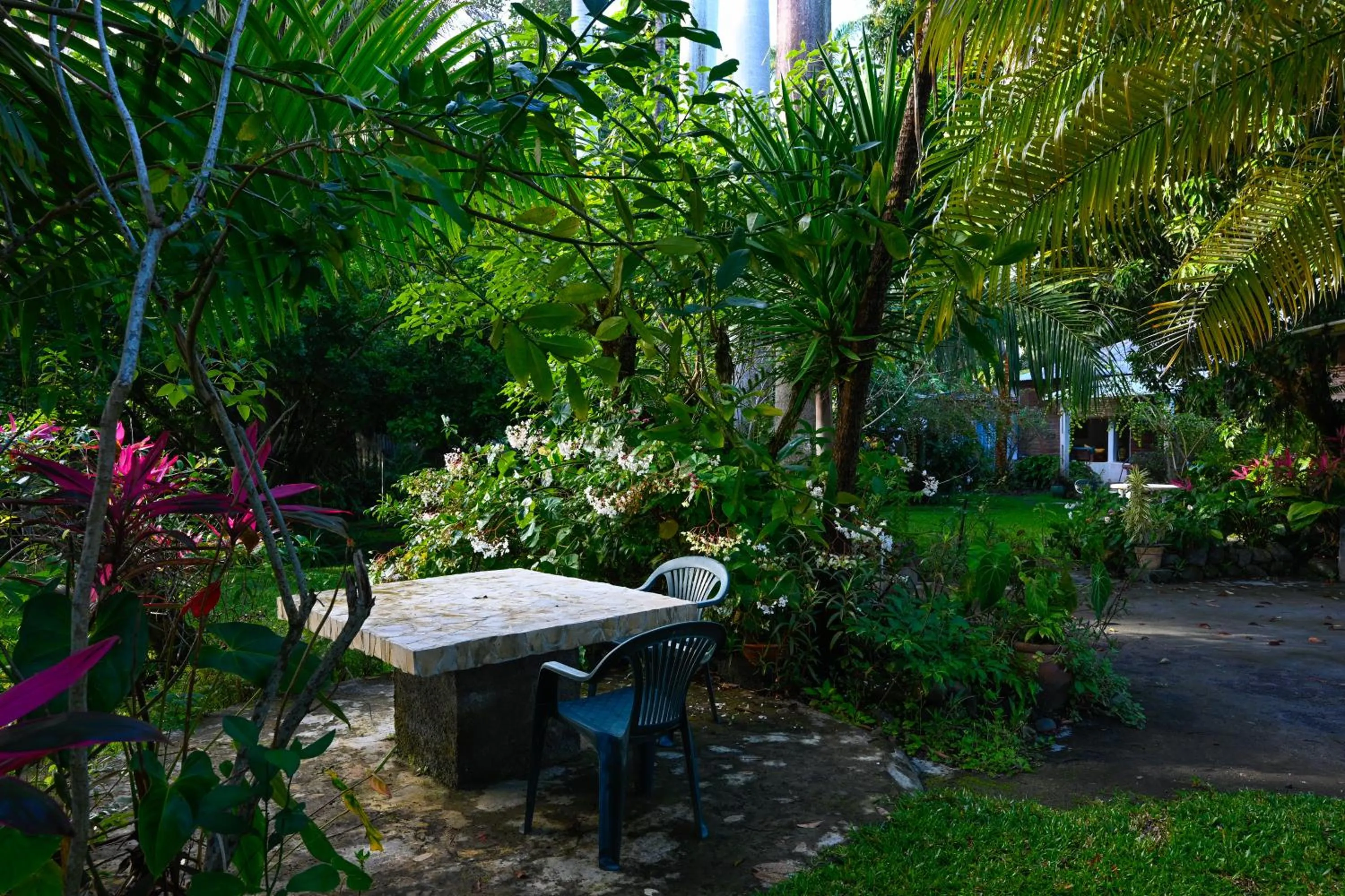 Garden in LE MEDINILLA