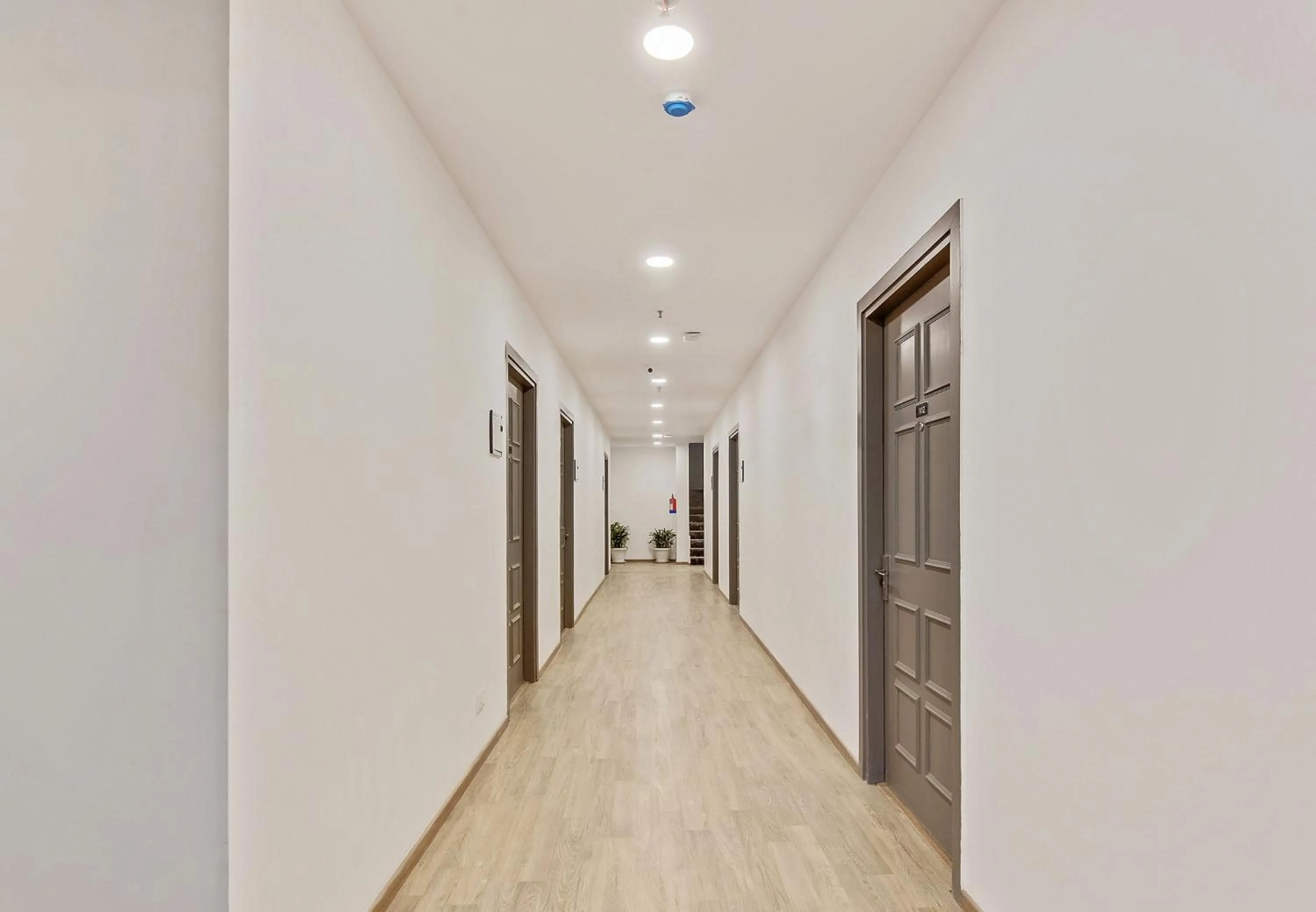 Lobby or reception in Super Townhouse 204 Sector 49 Near Logix city centre