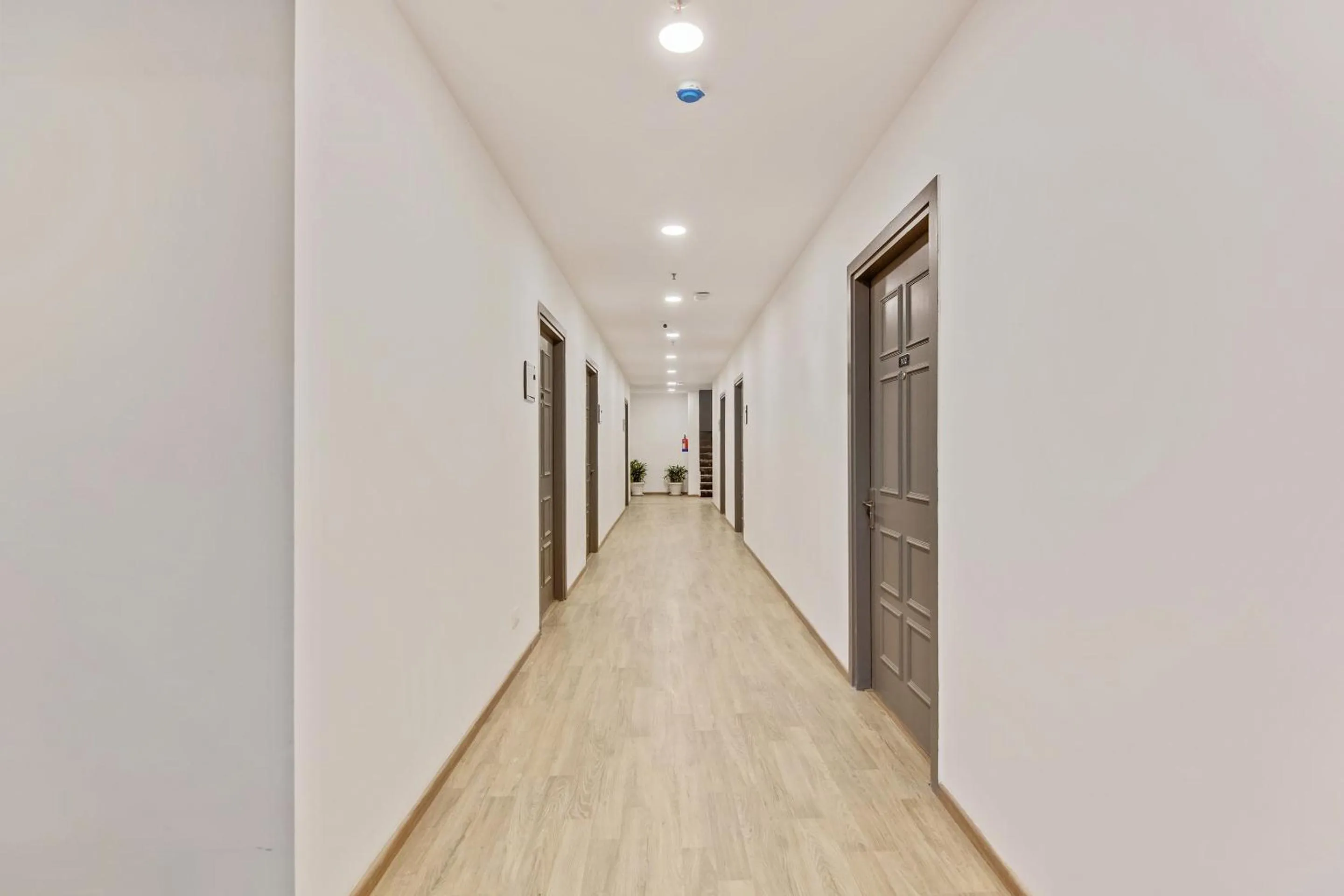 Lobby or reception in Super Townhouse 204 Sector 49 Near Logix city centre