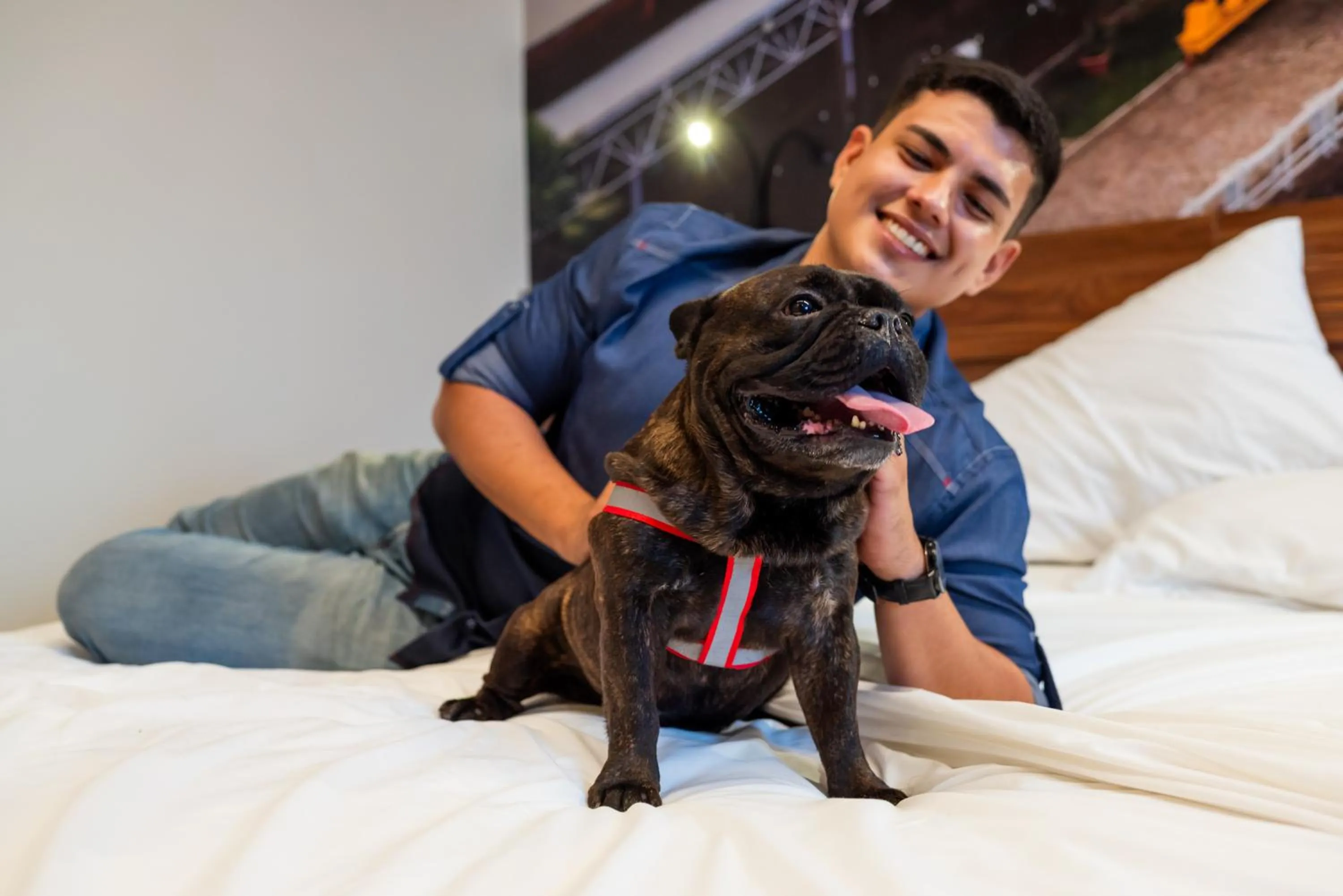 Ibis Styles Belém Hangar