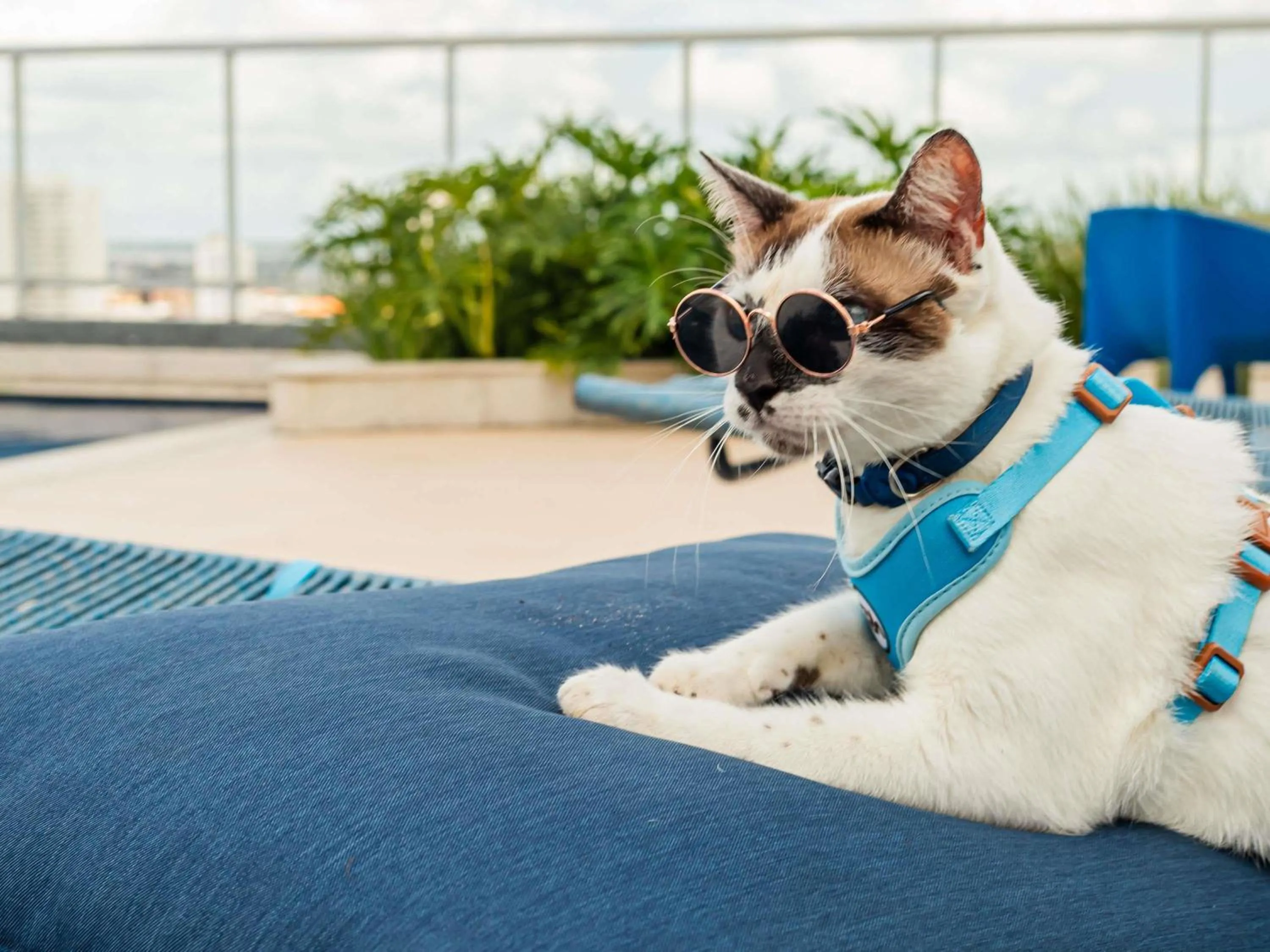 Other in Ibis Styles Belém Hangar