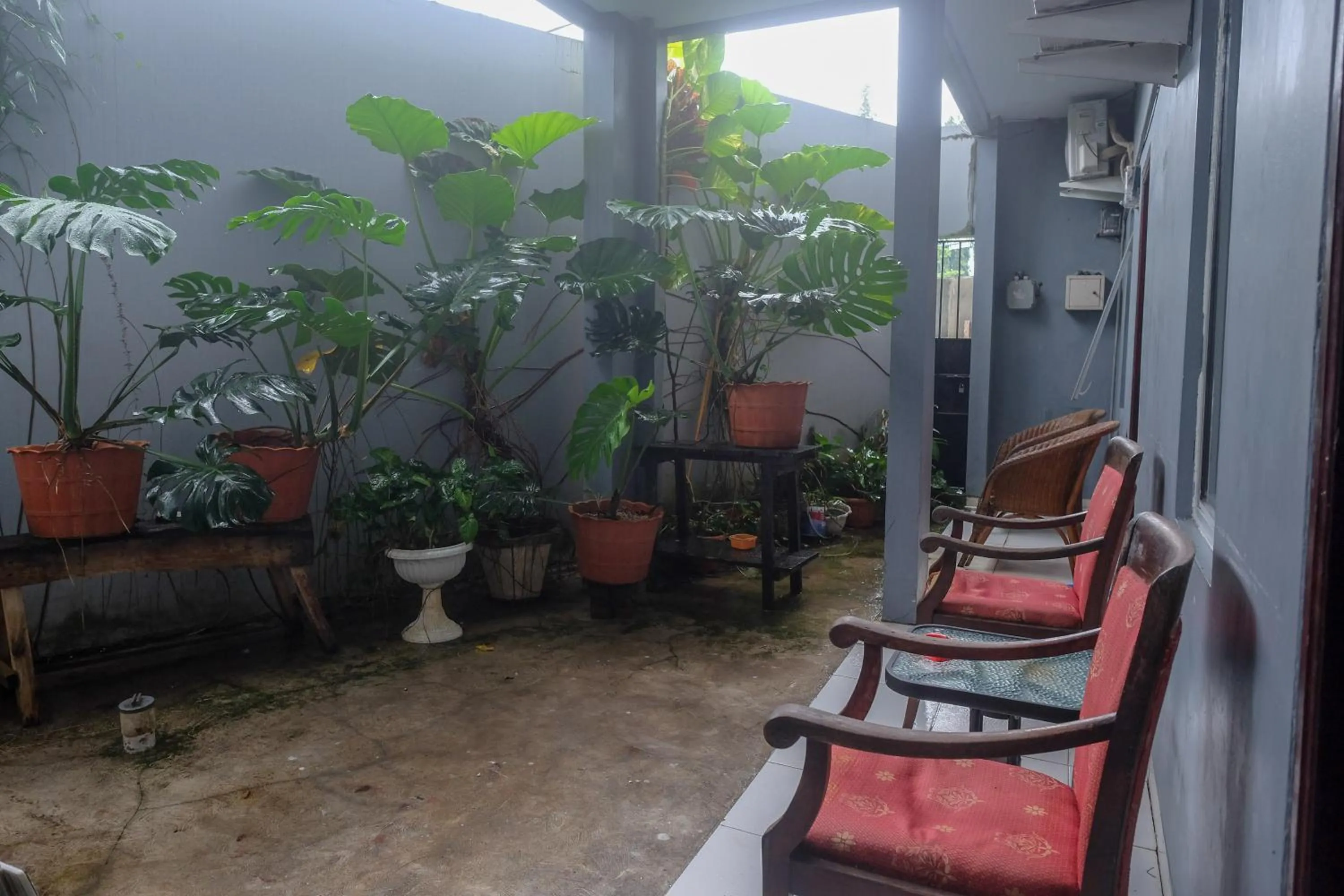 Garden view in RedDoorz at Lapangan Bandara Sam Ratulangi Manado