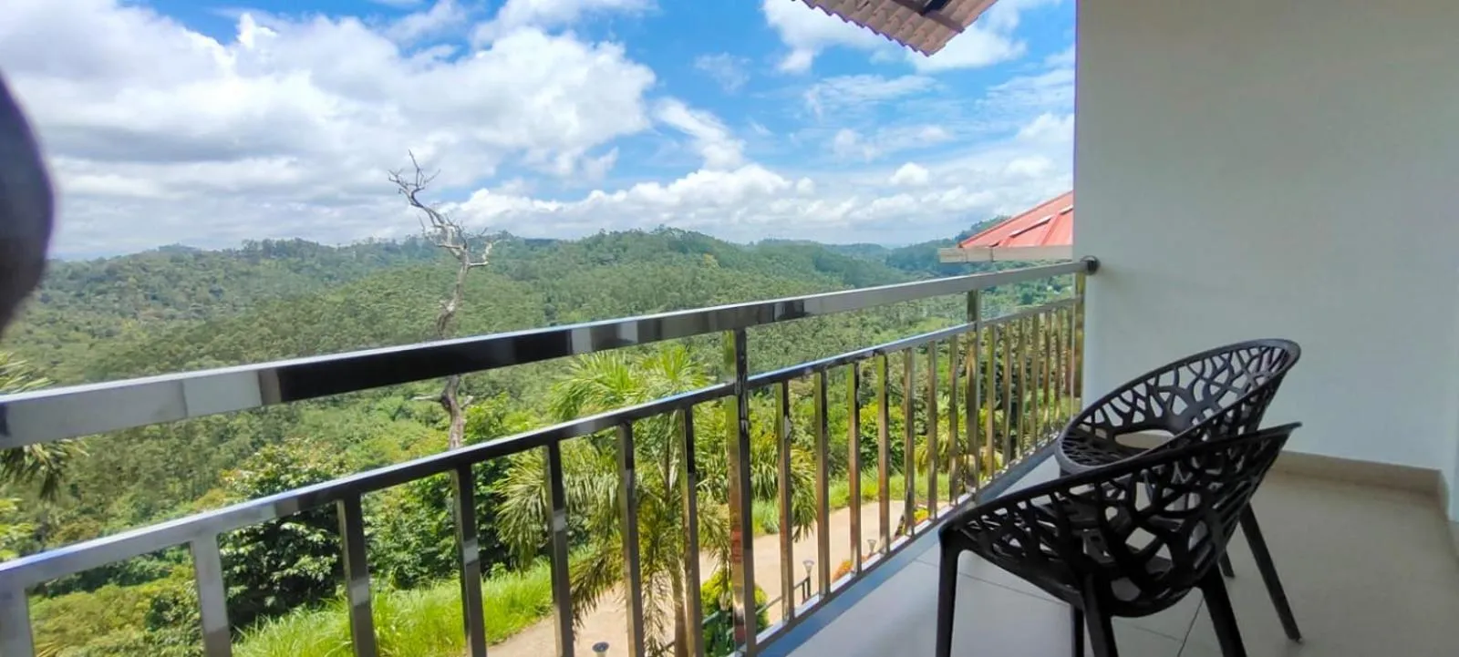 Day in The Lake View Munnar