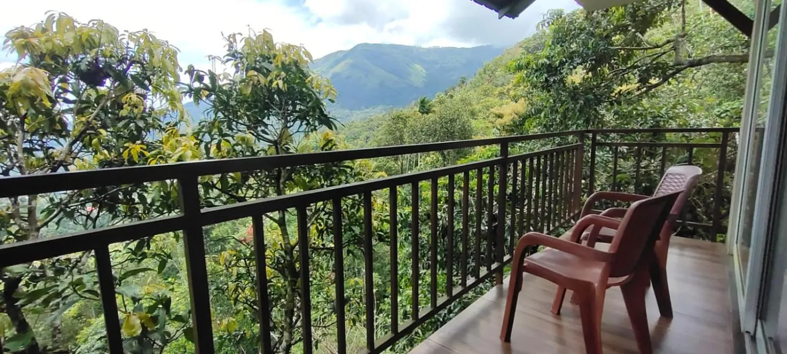 View (from property/room) in The Lake View Munnar