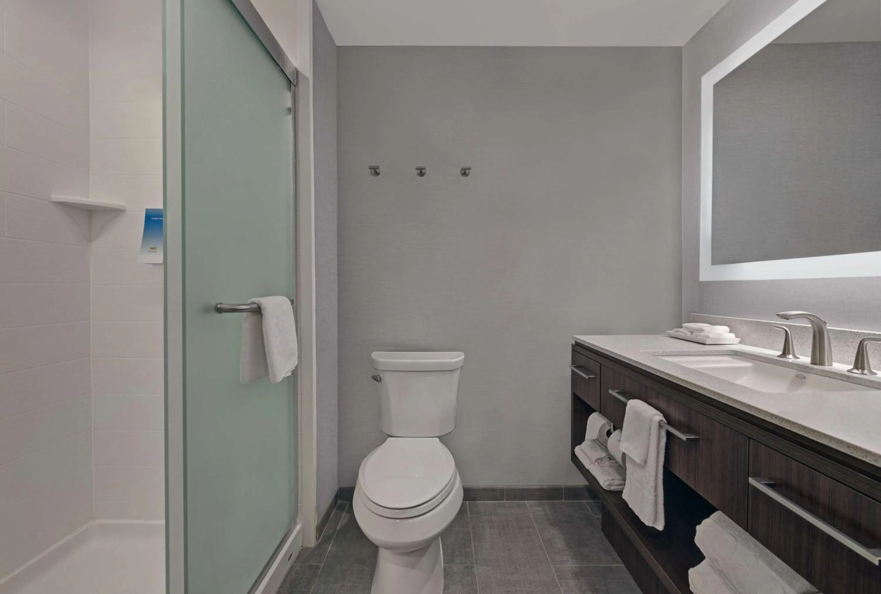 Bathroom in Home2 Suites By Hilton Memphis Wolfchase Galleria