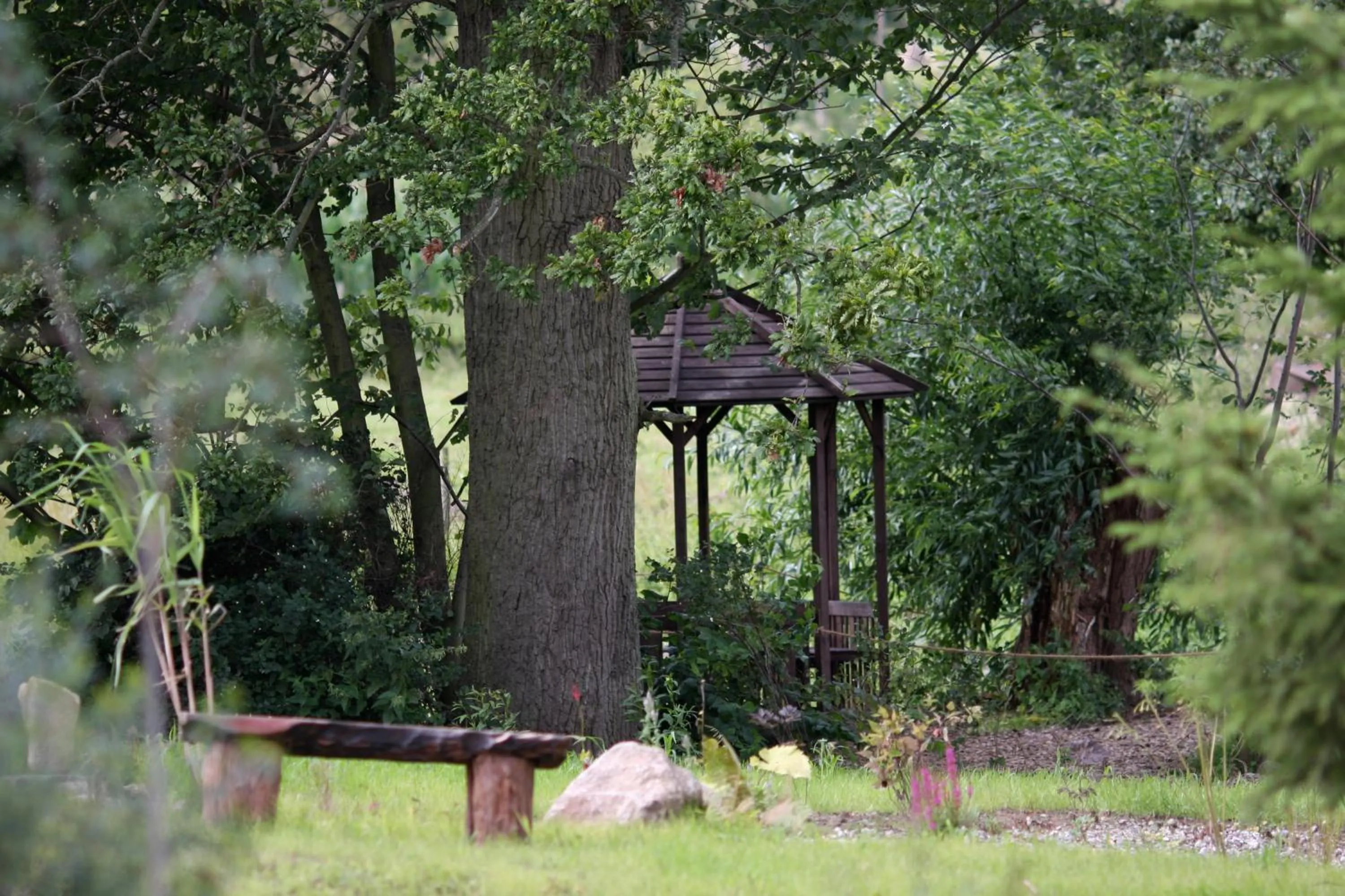 Natural landscape in Hotel Gutshaus Parin - Bio- und Gesundheitshotel