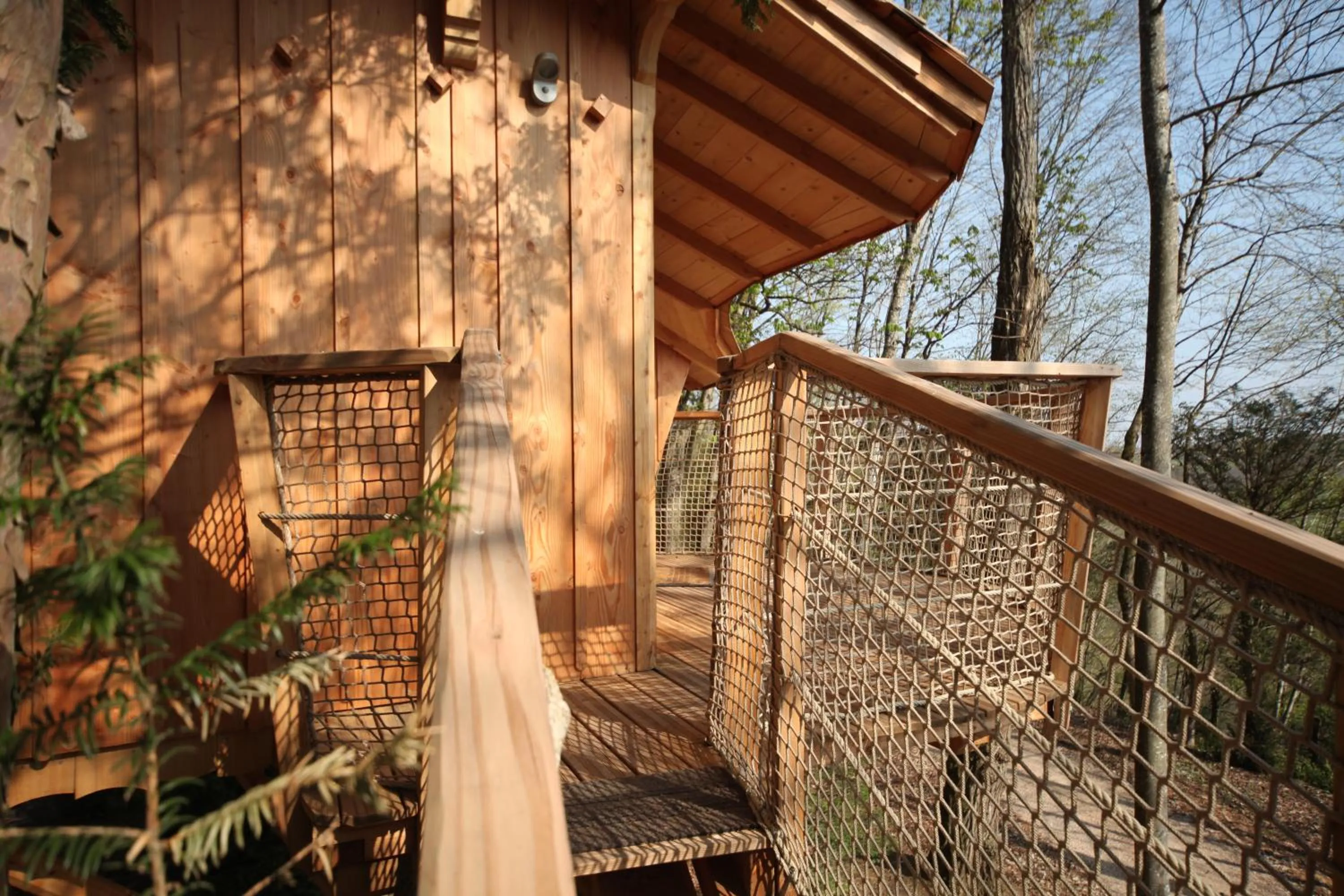 Natural landscape in Château de La Dame Blanche - Logis