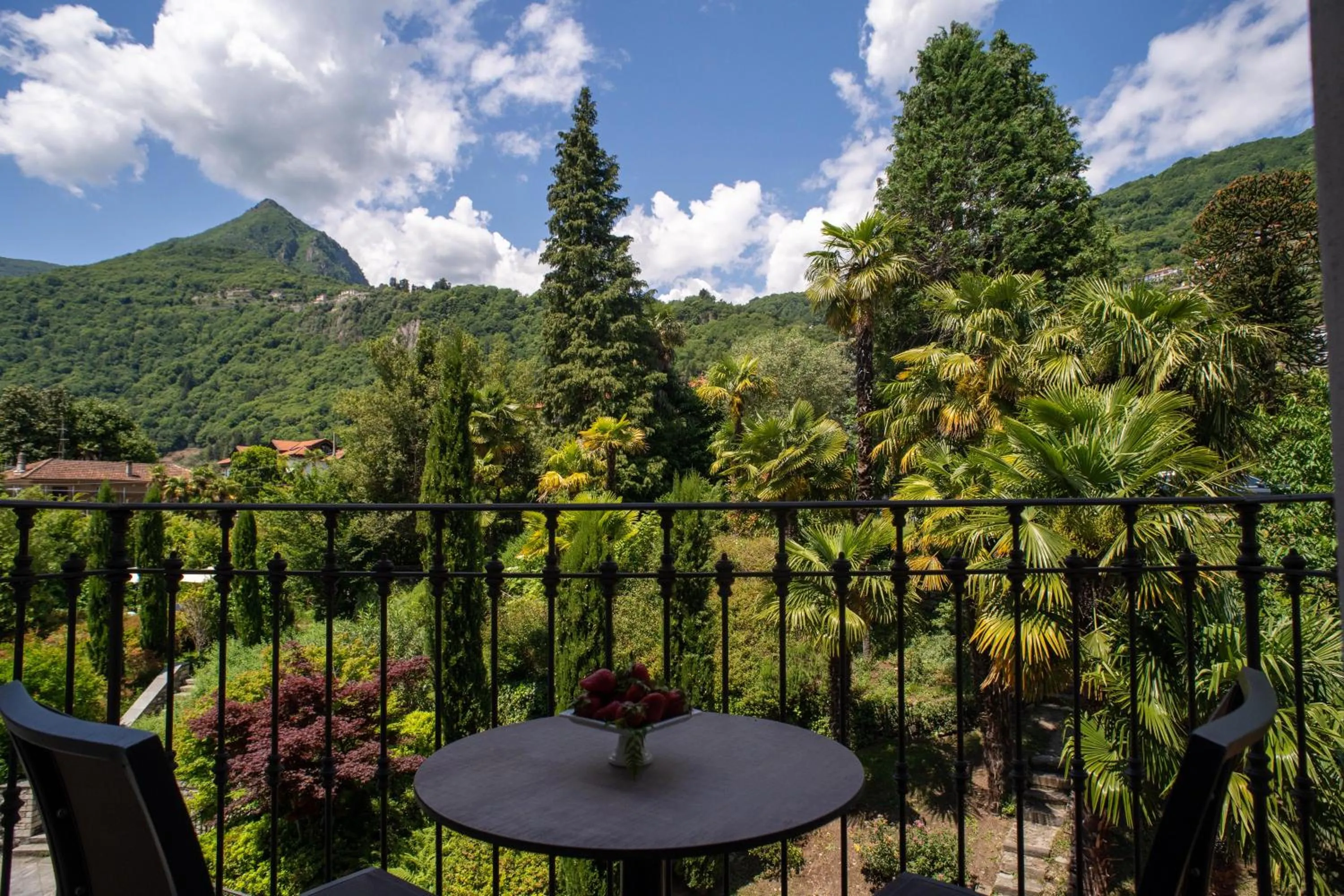 Mountain view in Park Hotel Italia