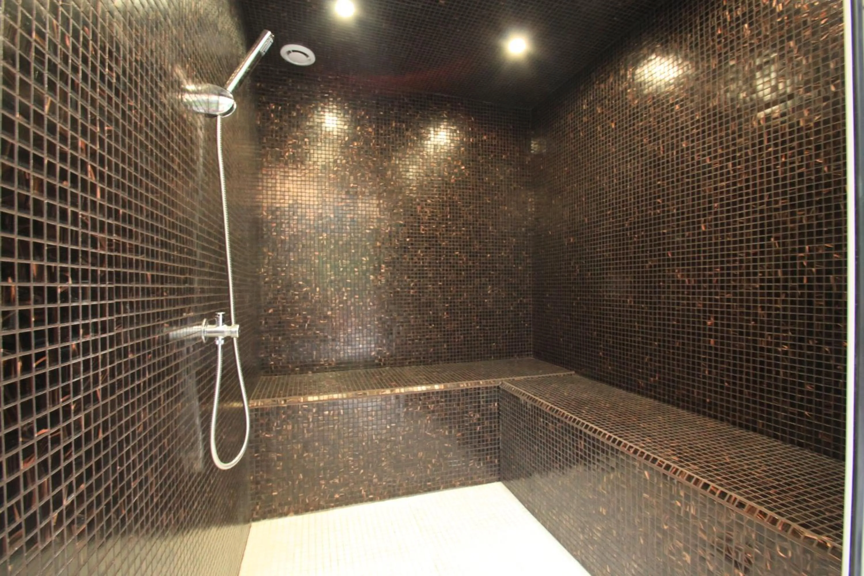 Spa and wellness centre/facilities in Hostellerie et SPA de la Vieille Ferme