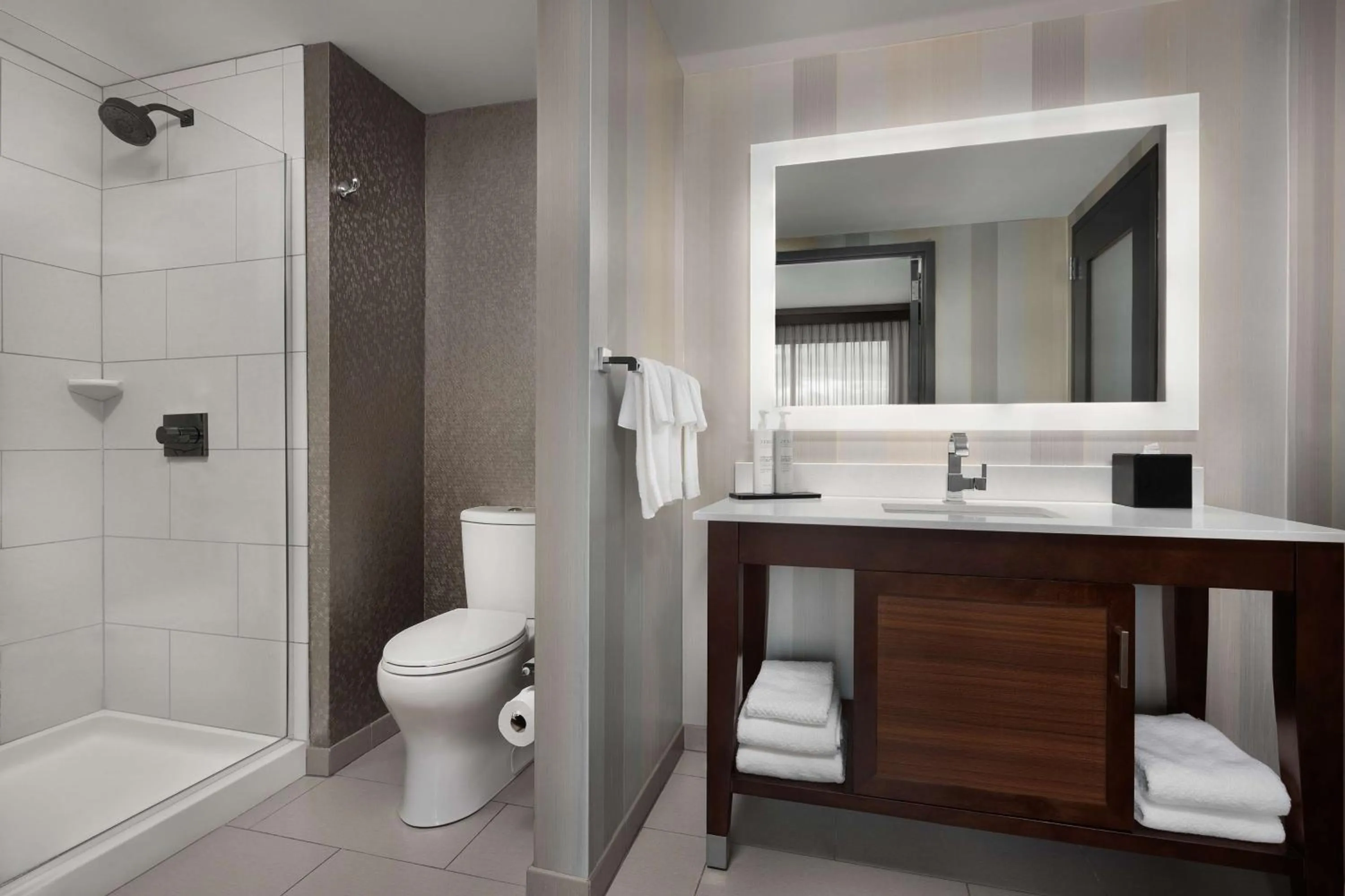 Bathroom in Embassy Suites by Hilton Knoxville West
