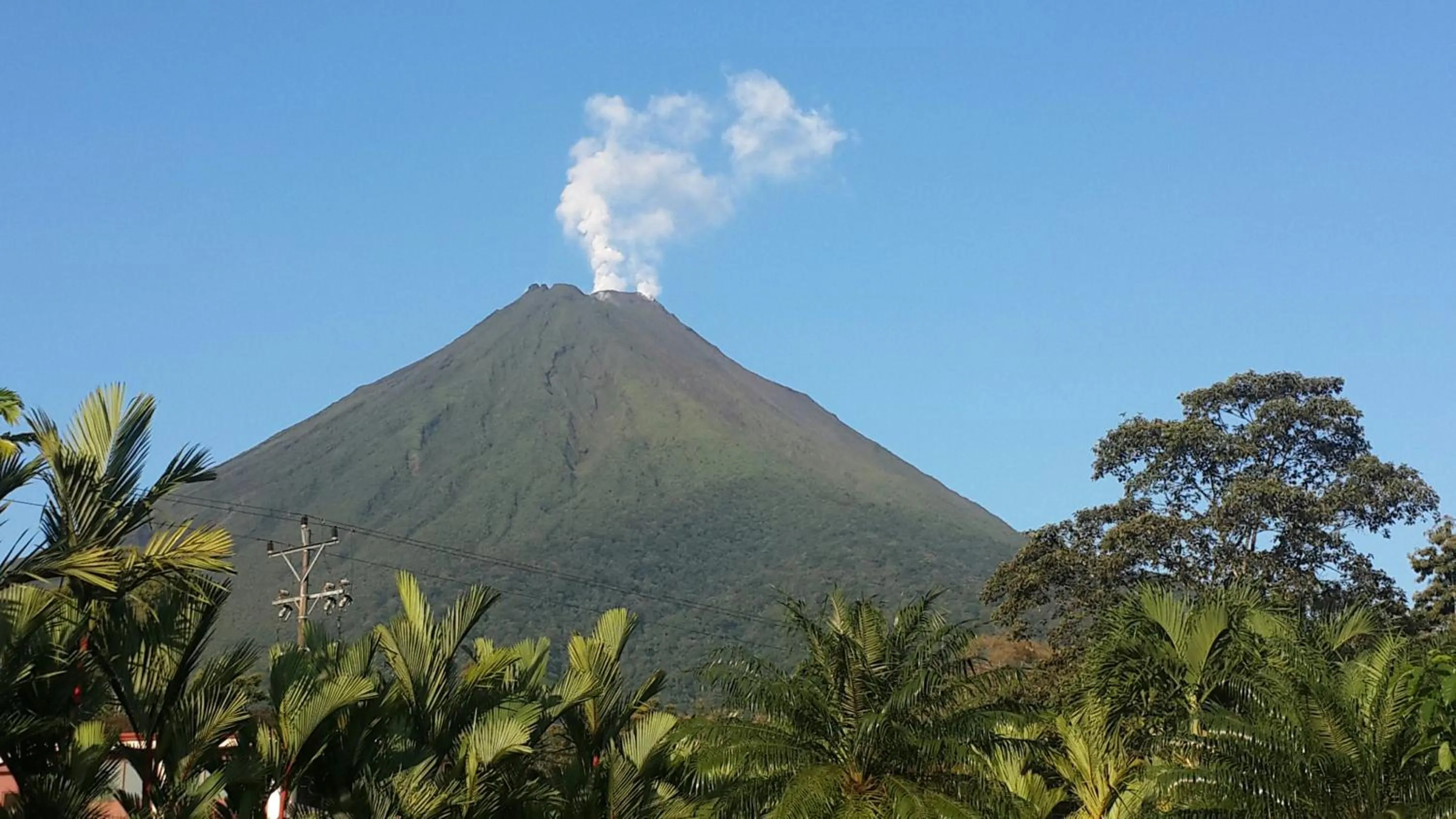 Garden in Hotel Villas Vilma