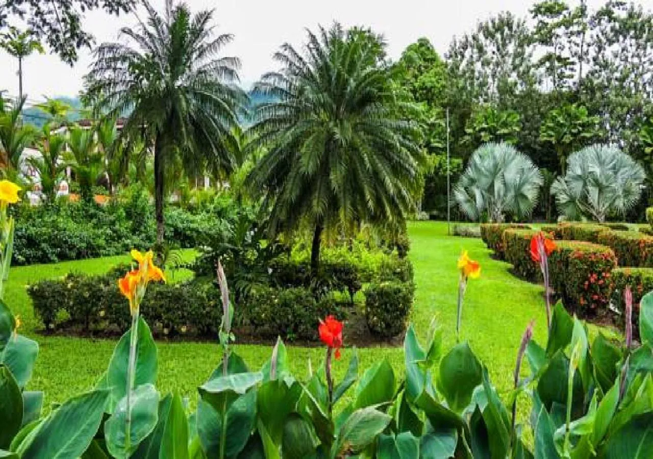 Garden in Hotel Villas Vilma