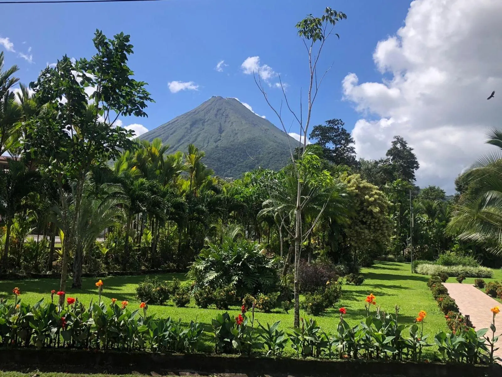 Garden in Hotel Villas Vilma