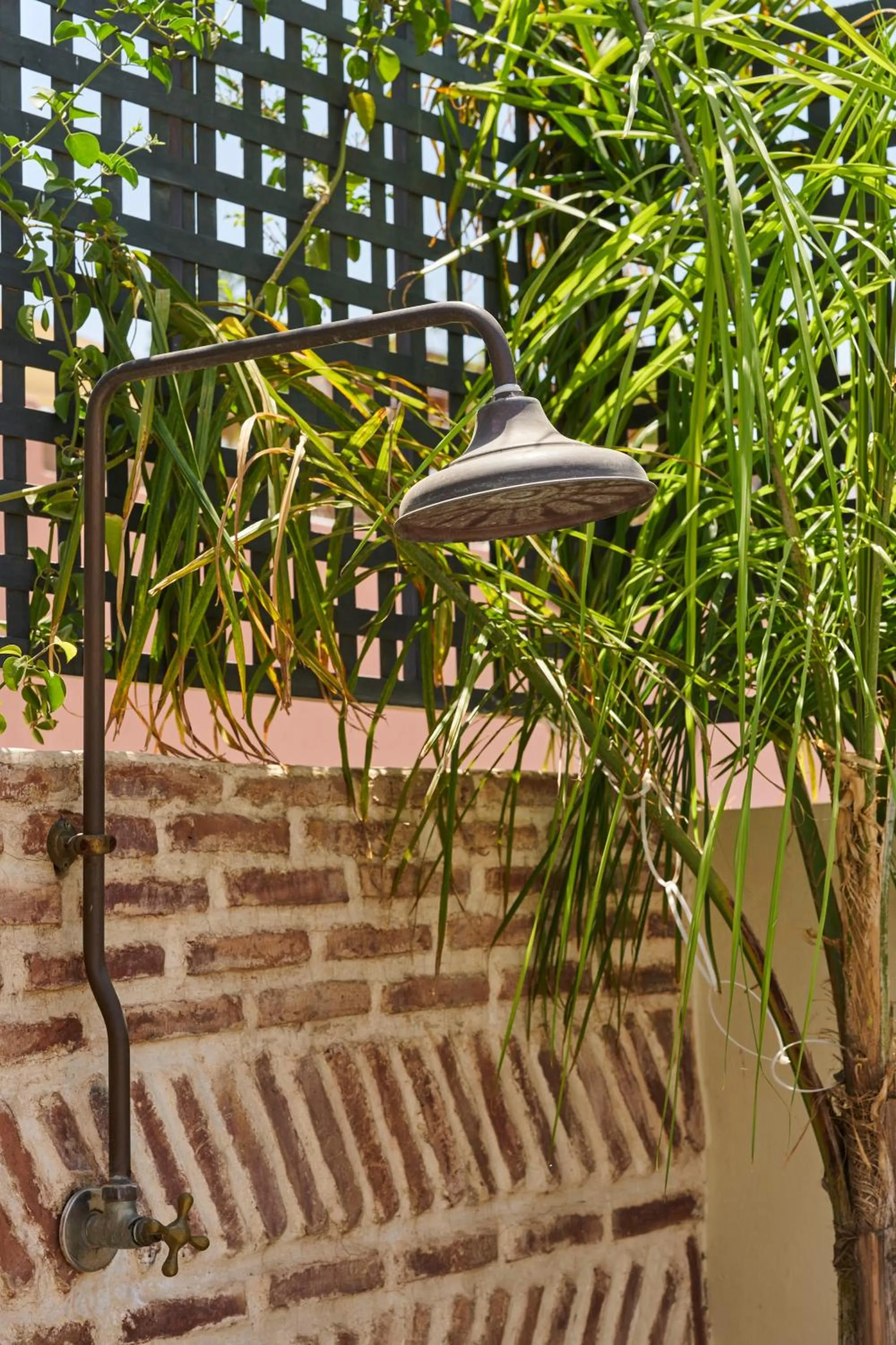Shower in Riad Miloud en exclusivité 10 P au cœur de la Médina