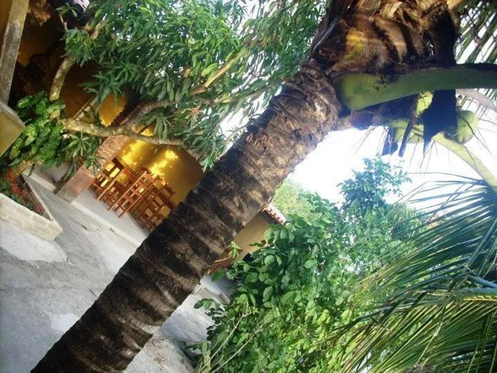 Day in Pousada Água de Côco