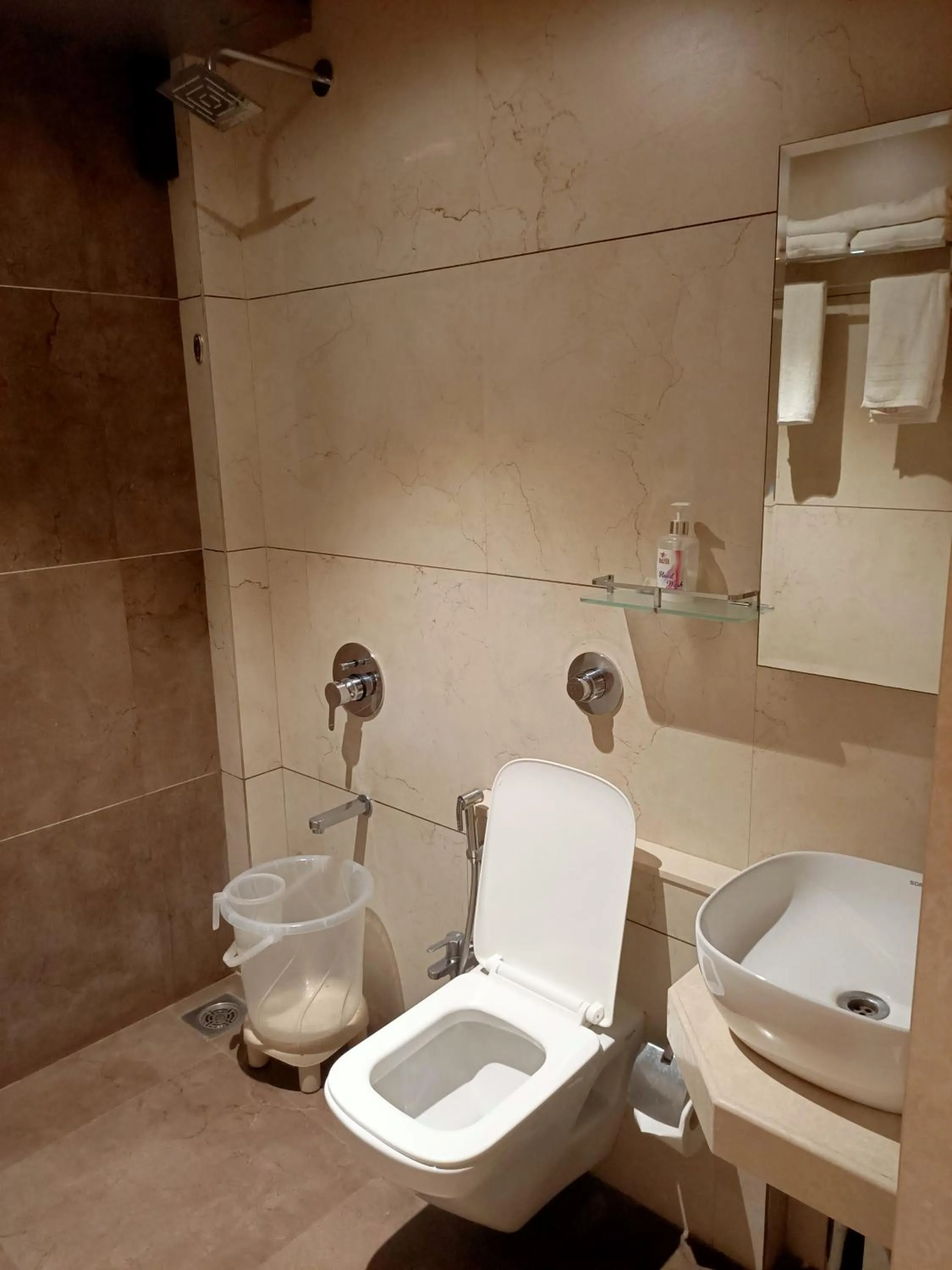 Shower in Rudra Shelter Business Hotel