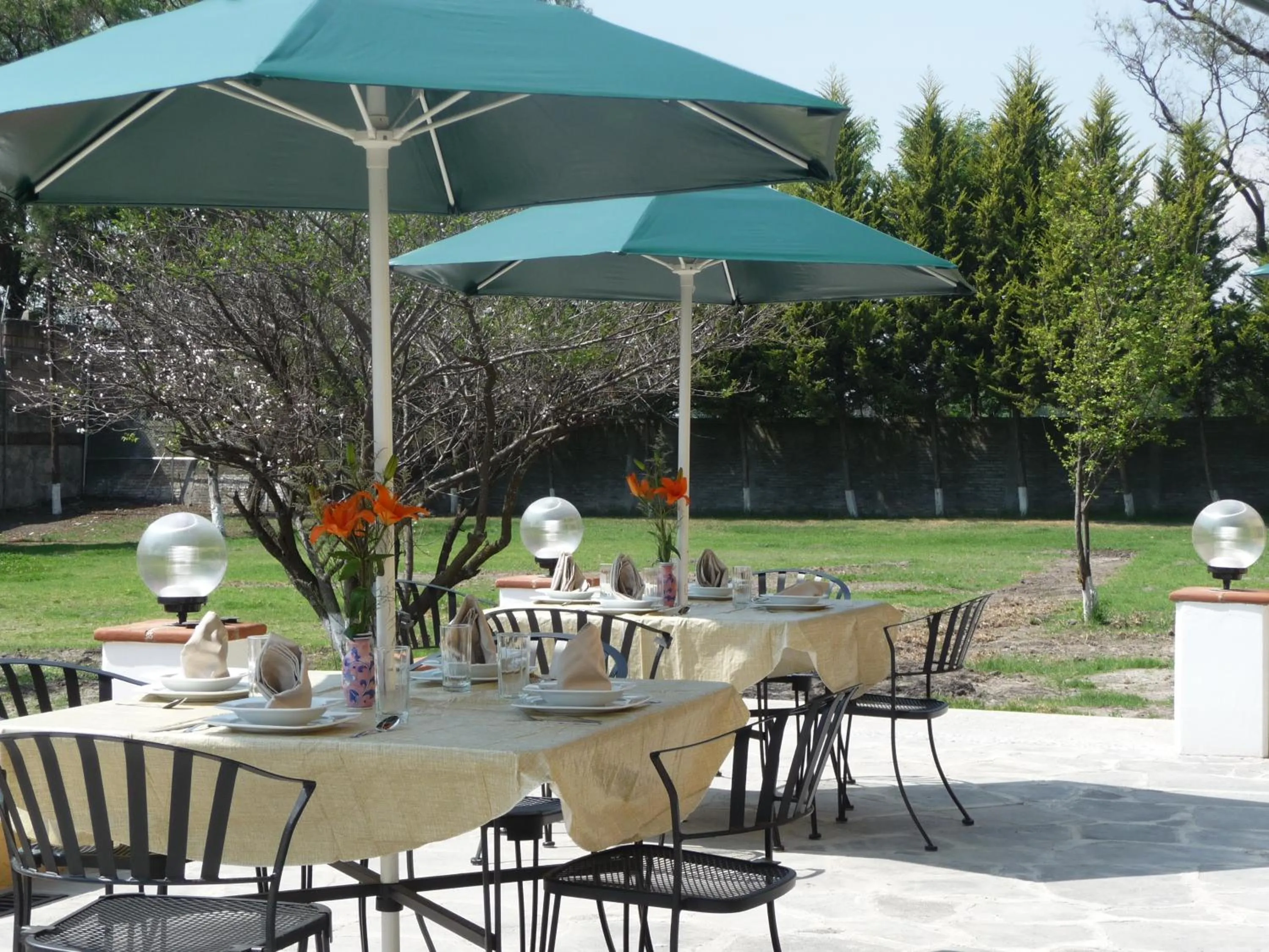 Garden in Hotel Finca Las Hortensias