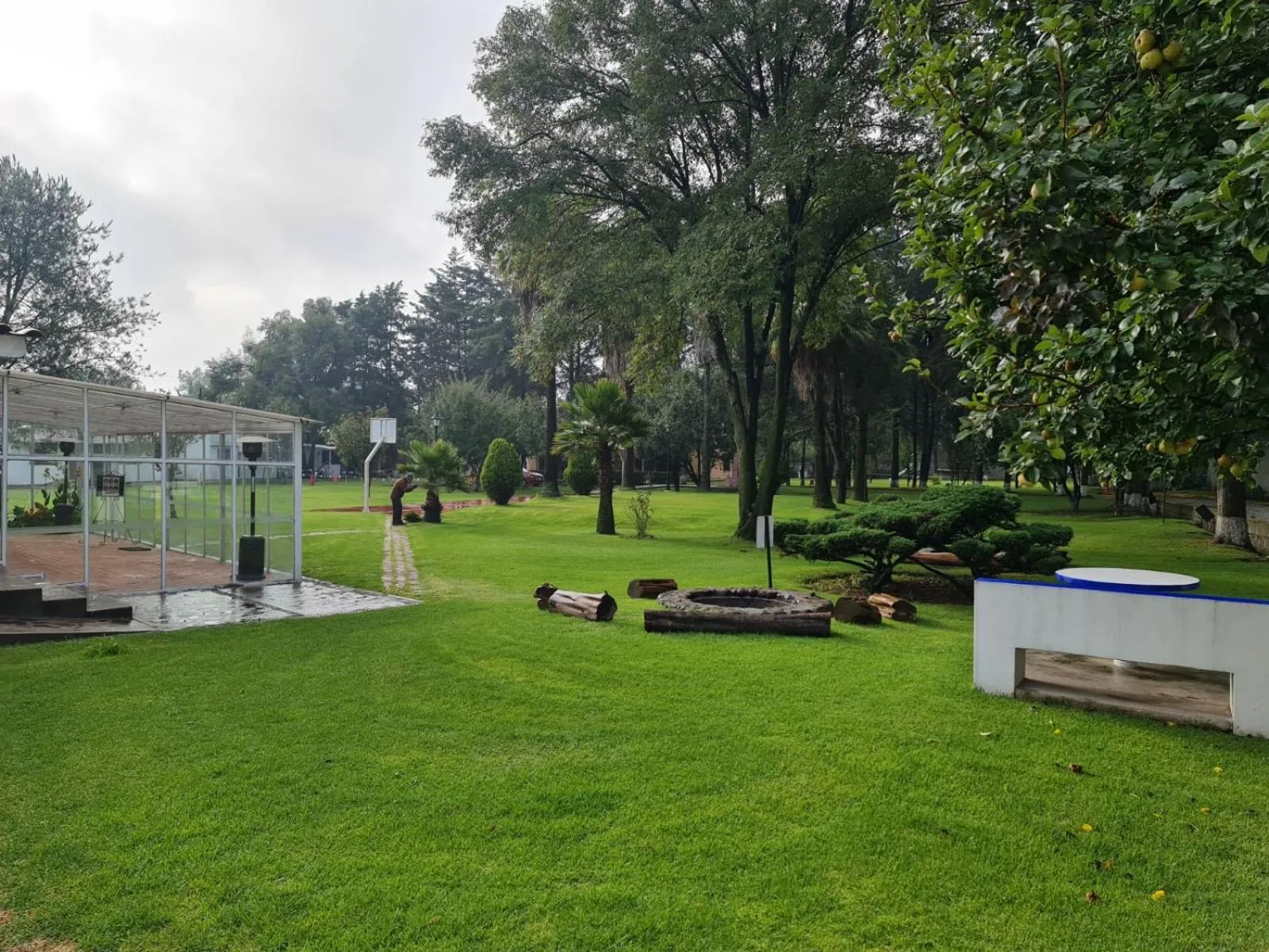 Day in Hotel Finca Las Hortensias