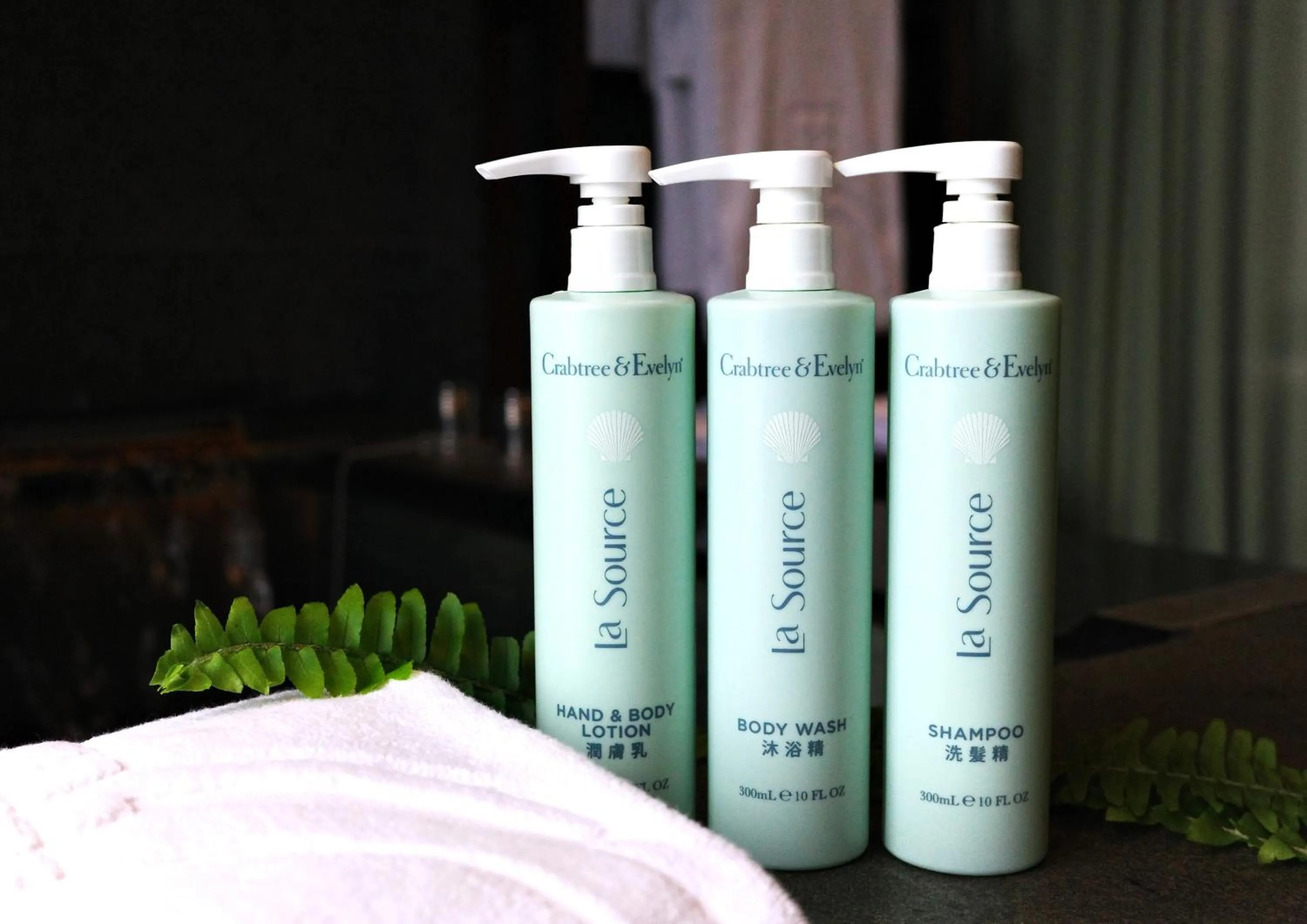 Other in RSL Cold & Hot Springs Resort Suao