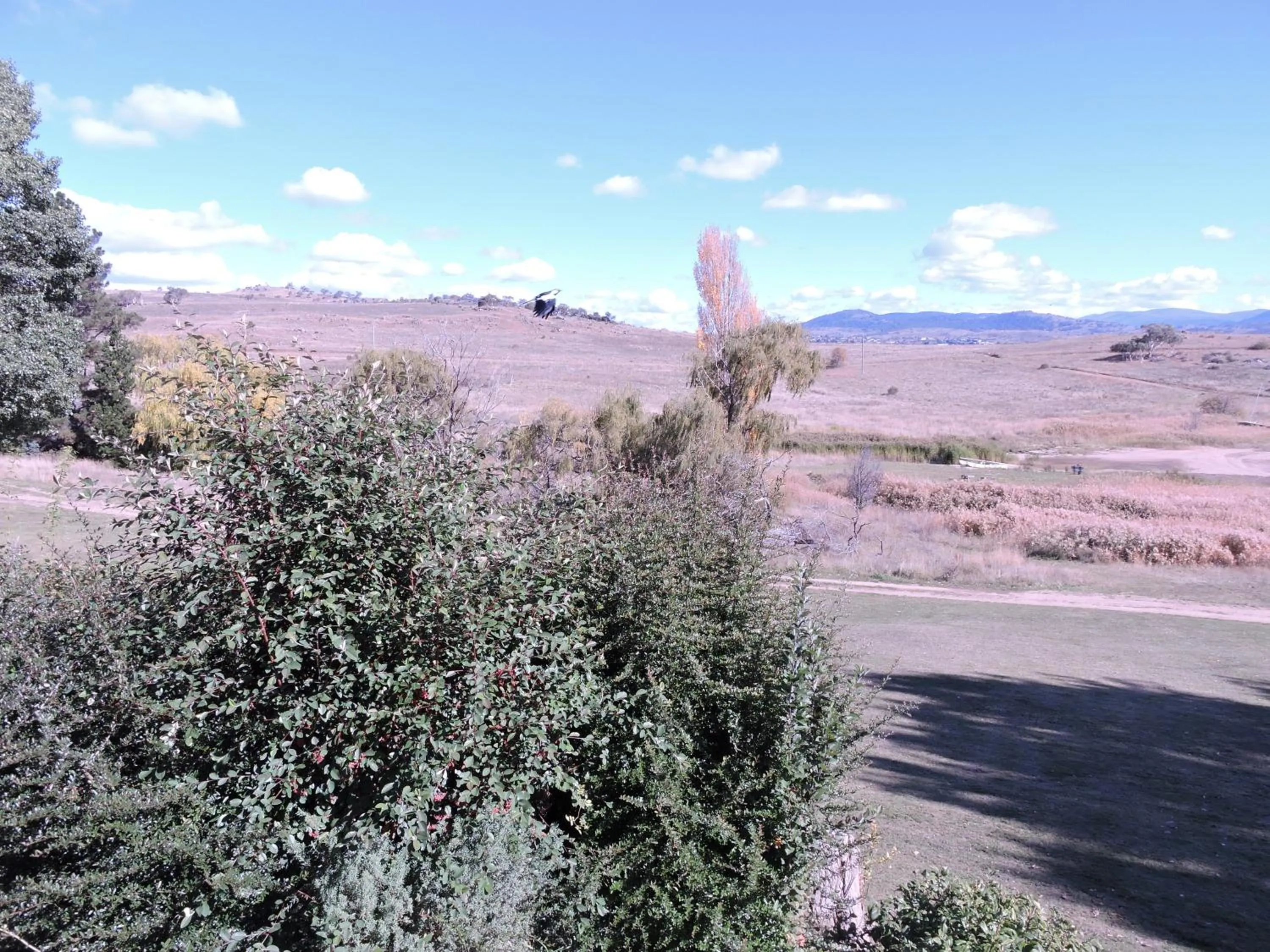 Mountain view in Siesta Villa