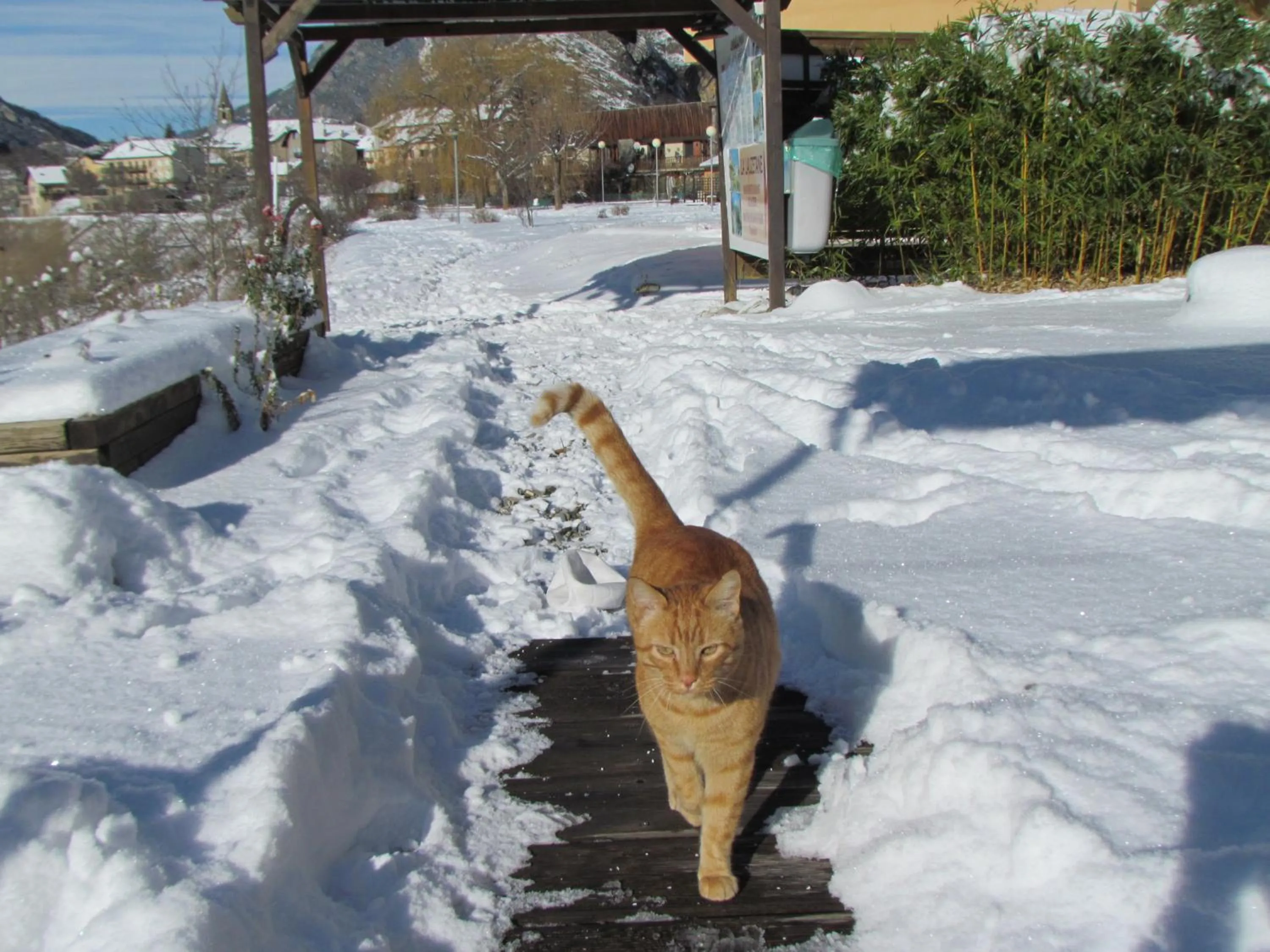 Patio in Hotel-Restaurant La Lauzétane