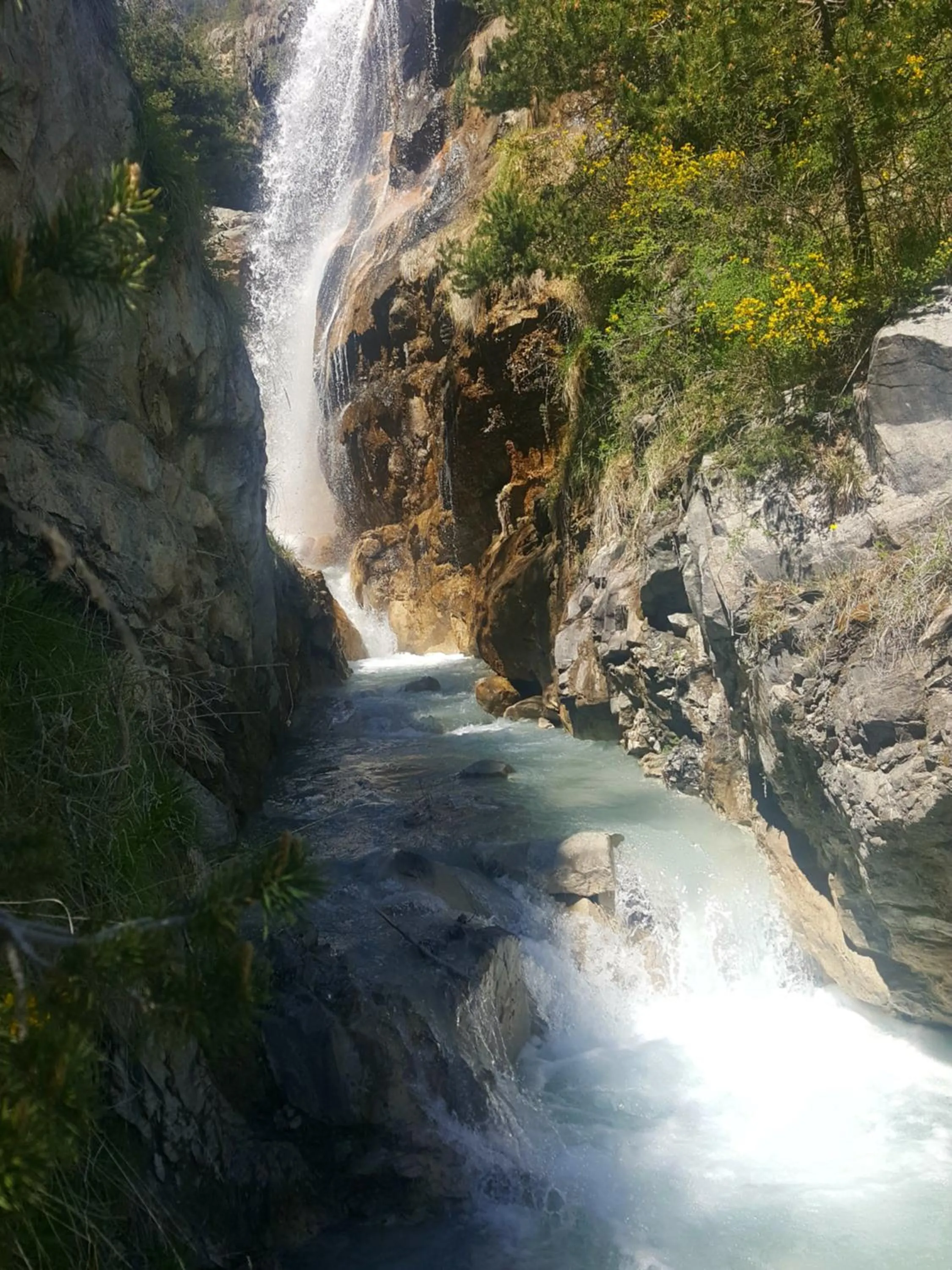 Spring in Hotel-Restaurant La Lauzétane