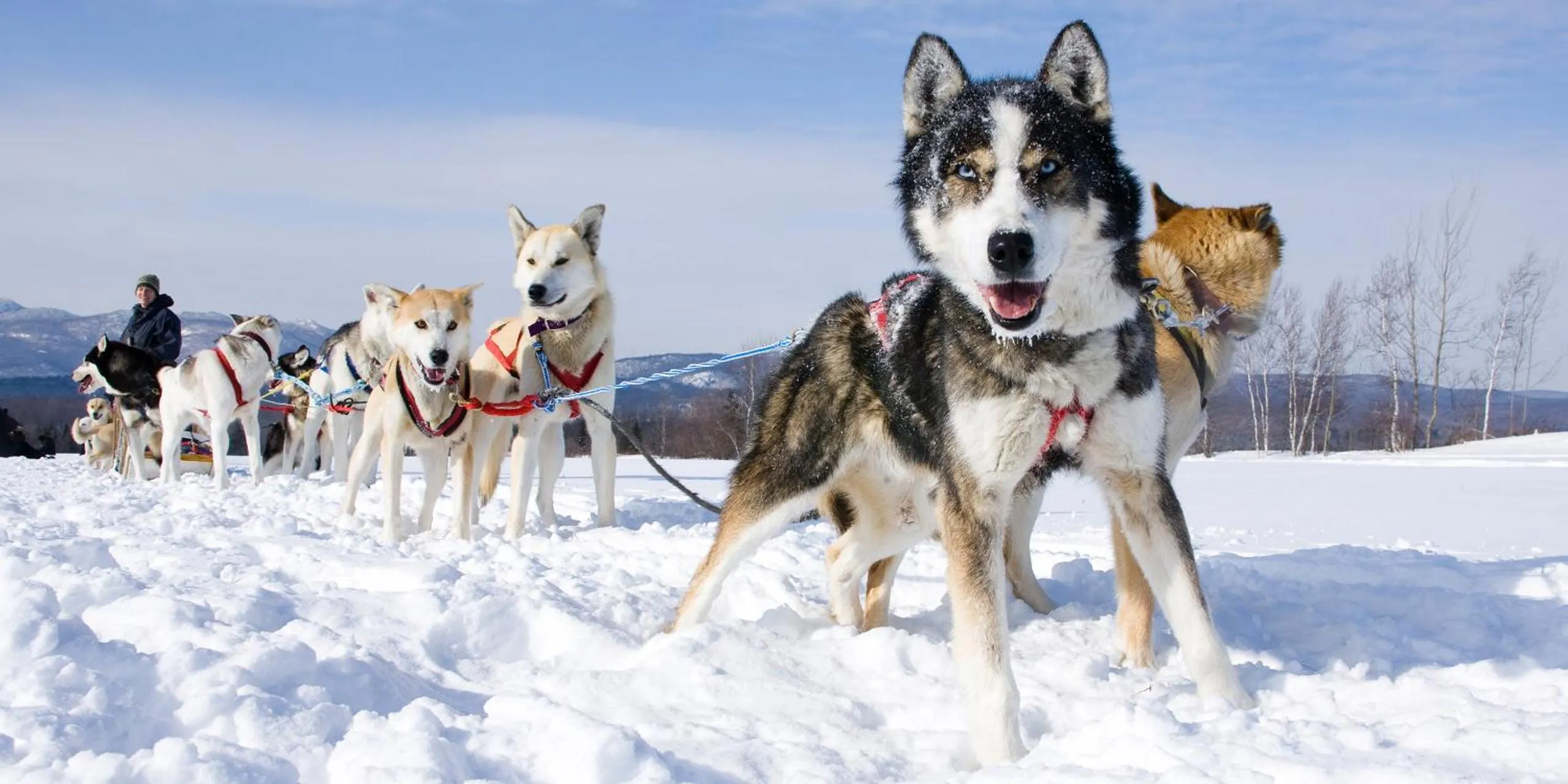 Day in Hotel-Restaurant La Lauzétane