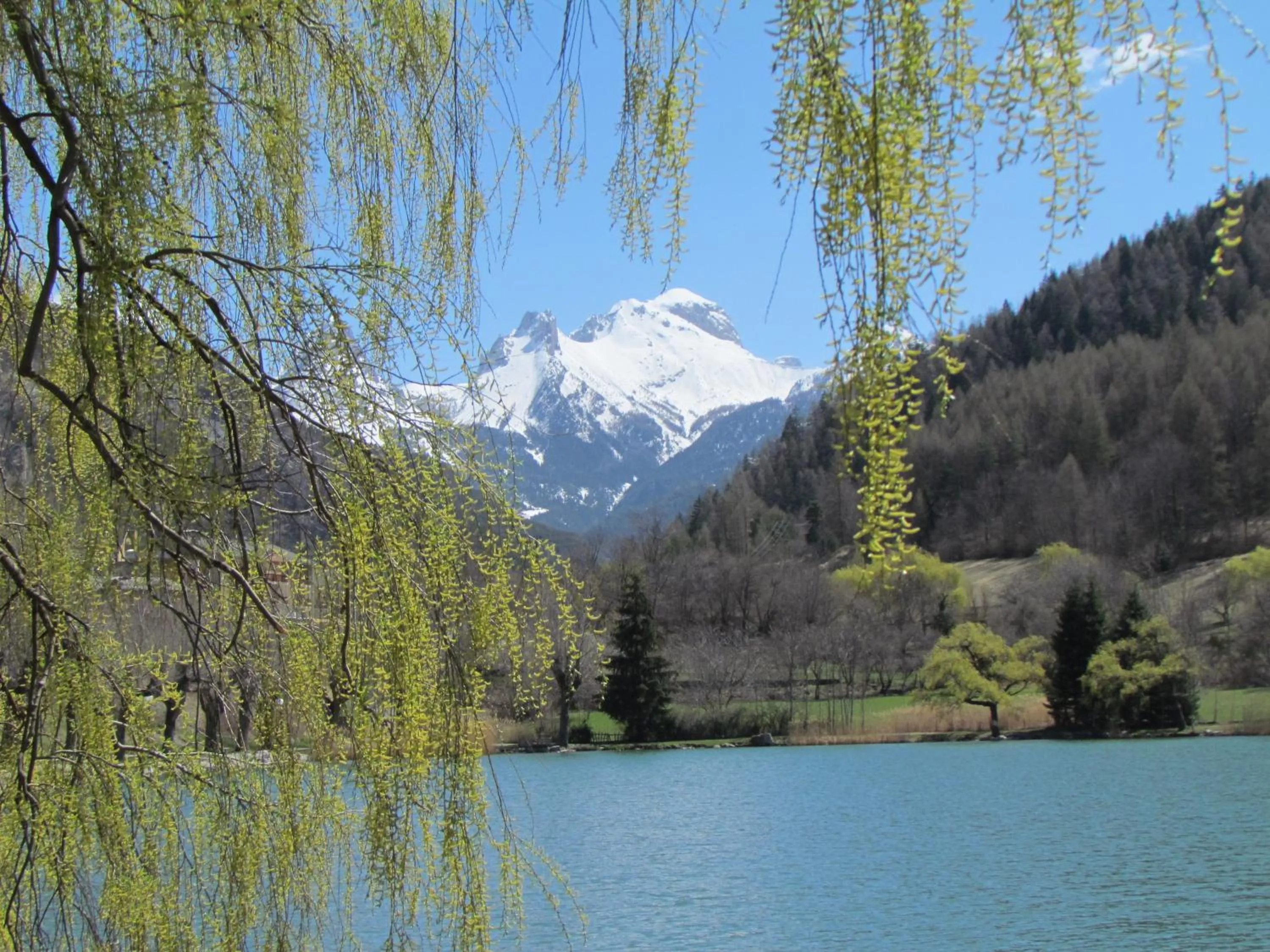 Spring in Hotel-Restaurant La Lauzétane