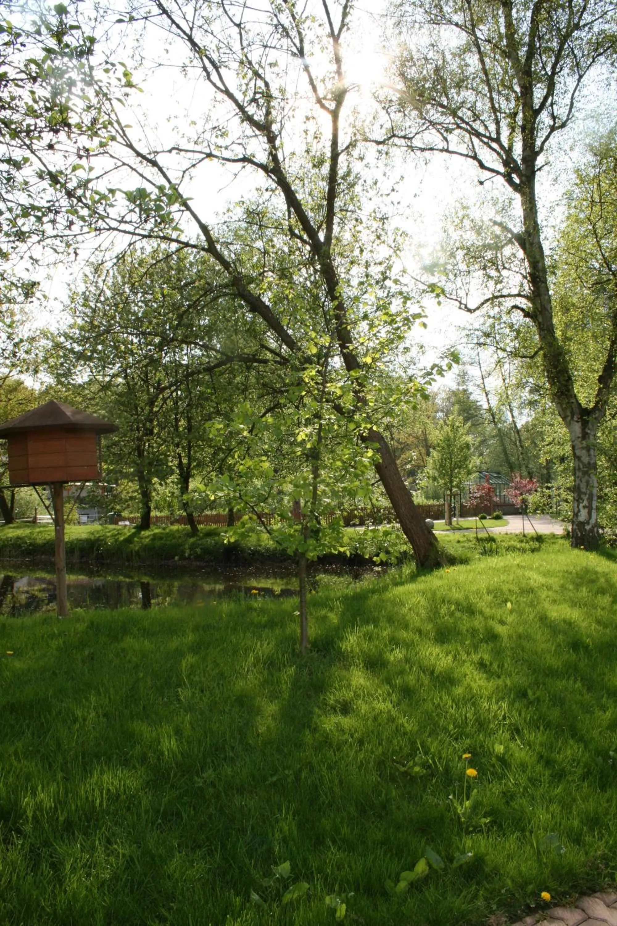 Garden in SaarlandTraum Weihermühle
