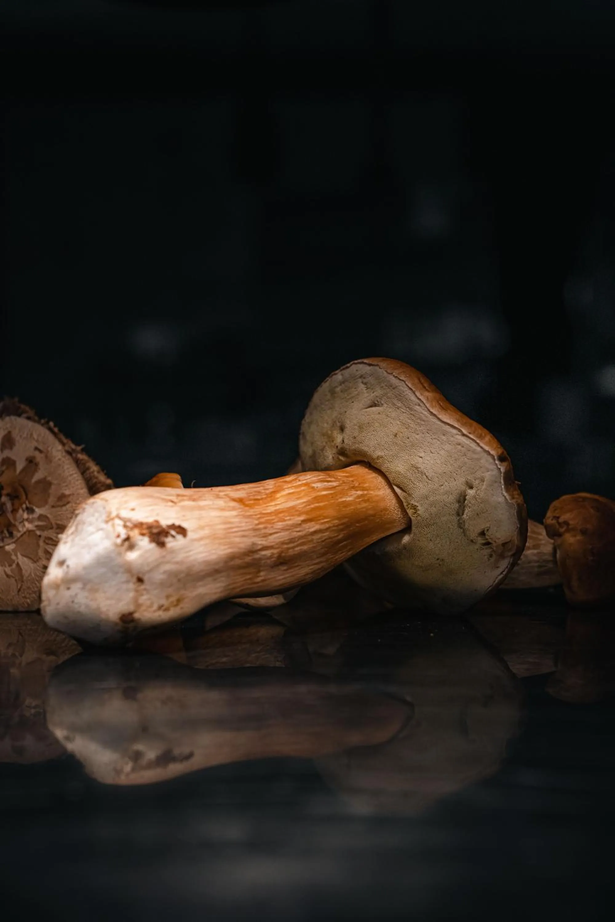 Food in Le Manoir du Lys, The Originals Relais