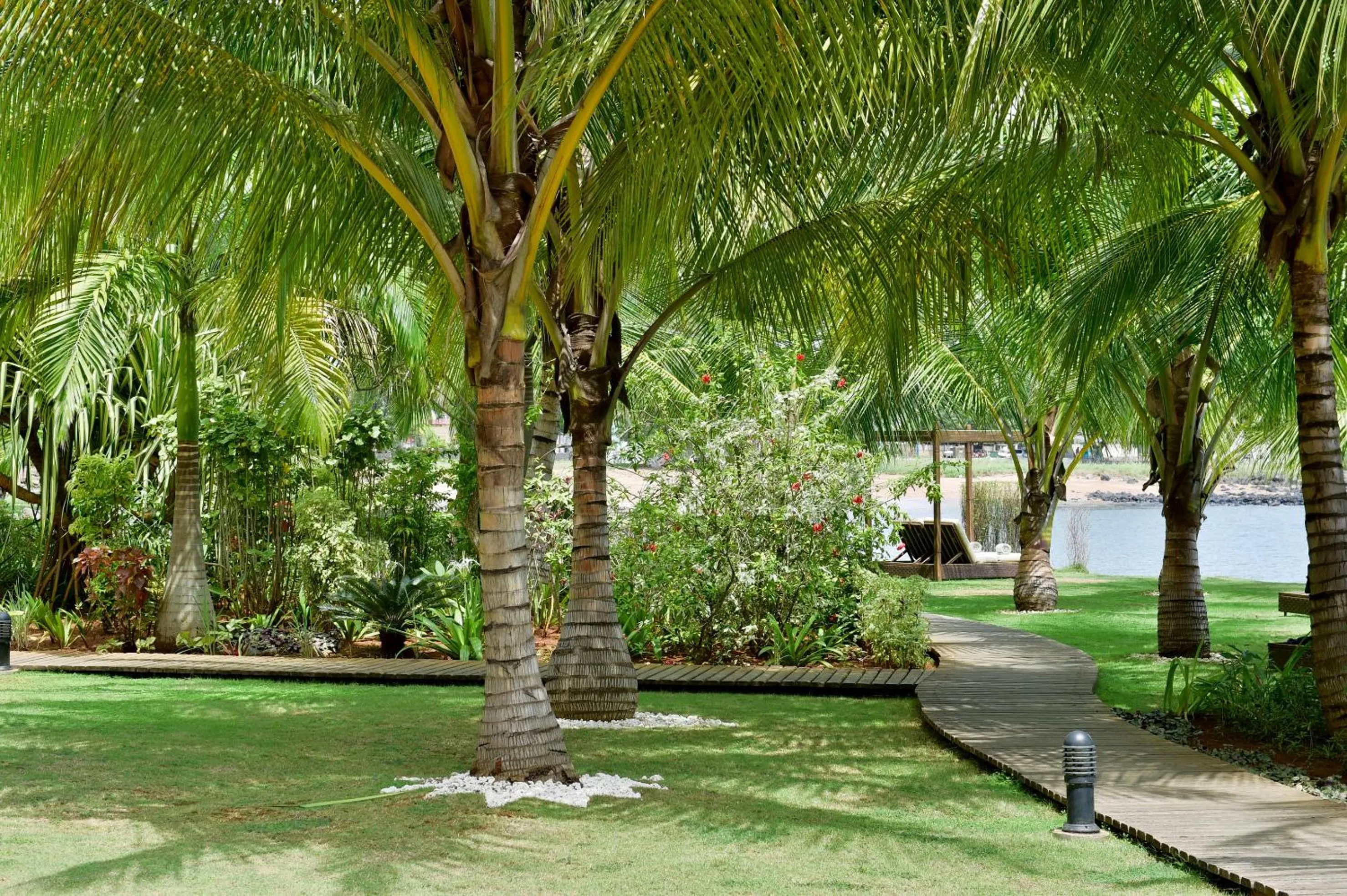 Garden in Pestana Sao Tome