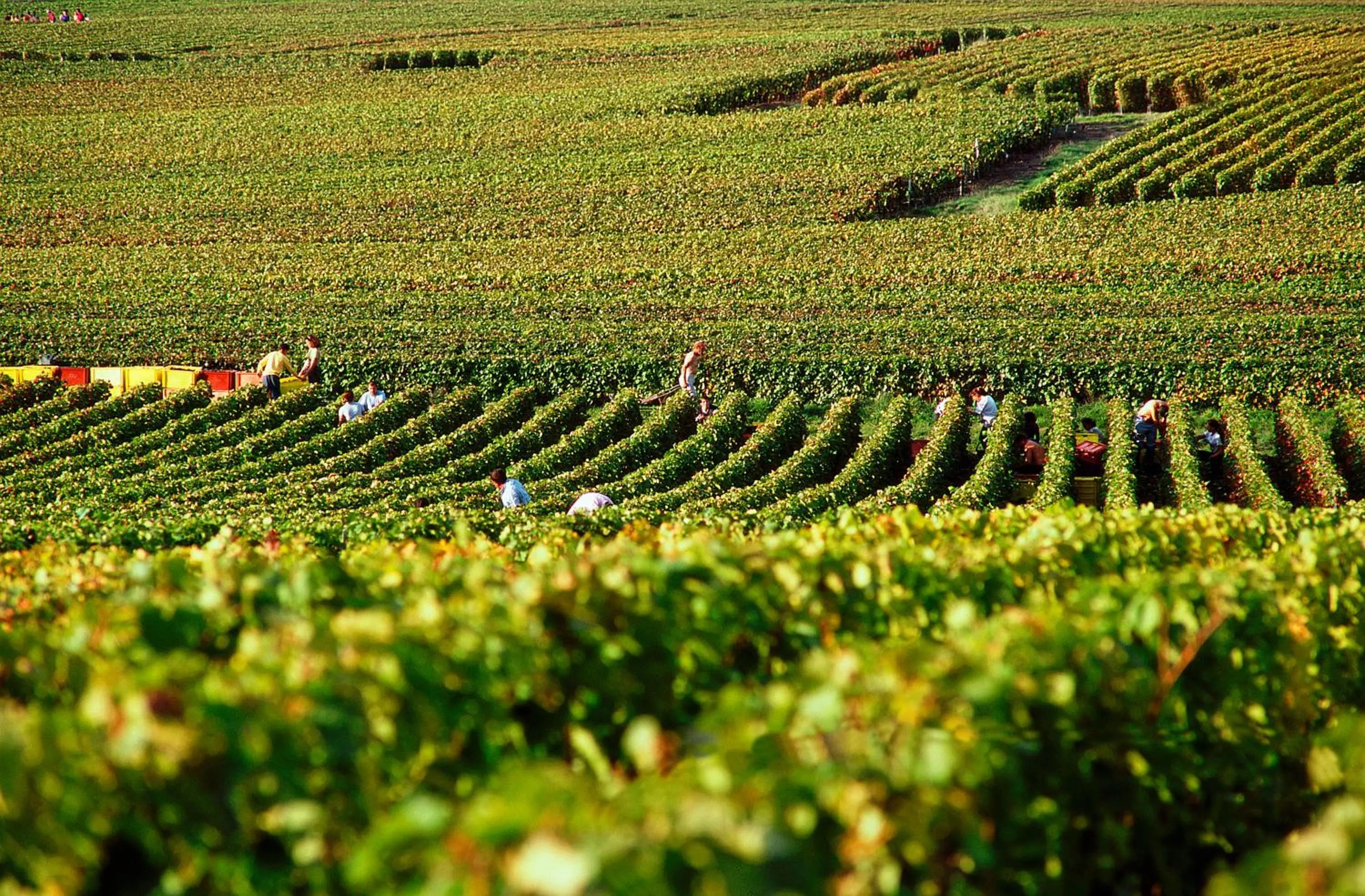 Nearby landmark in Ibis Styles Reims Centre