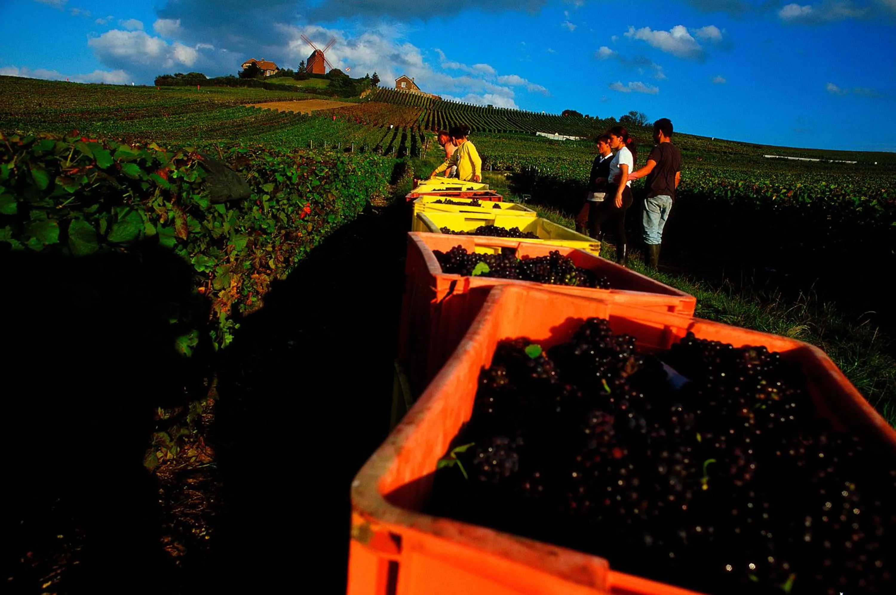 Nearby landmark in Ibis Styles Reims Centre