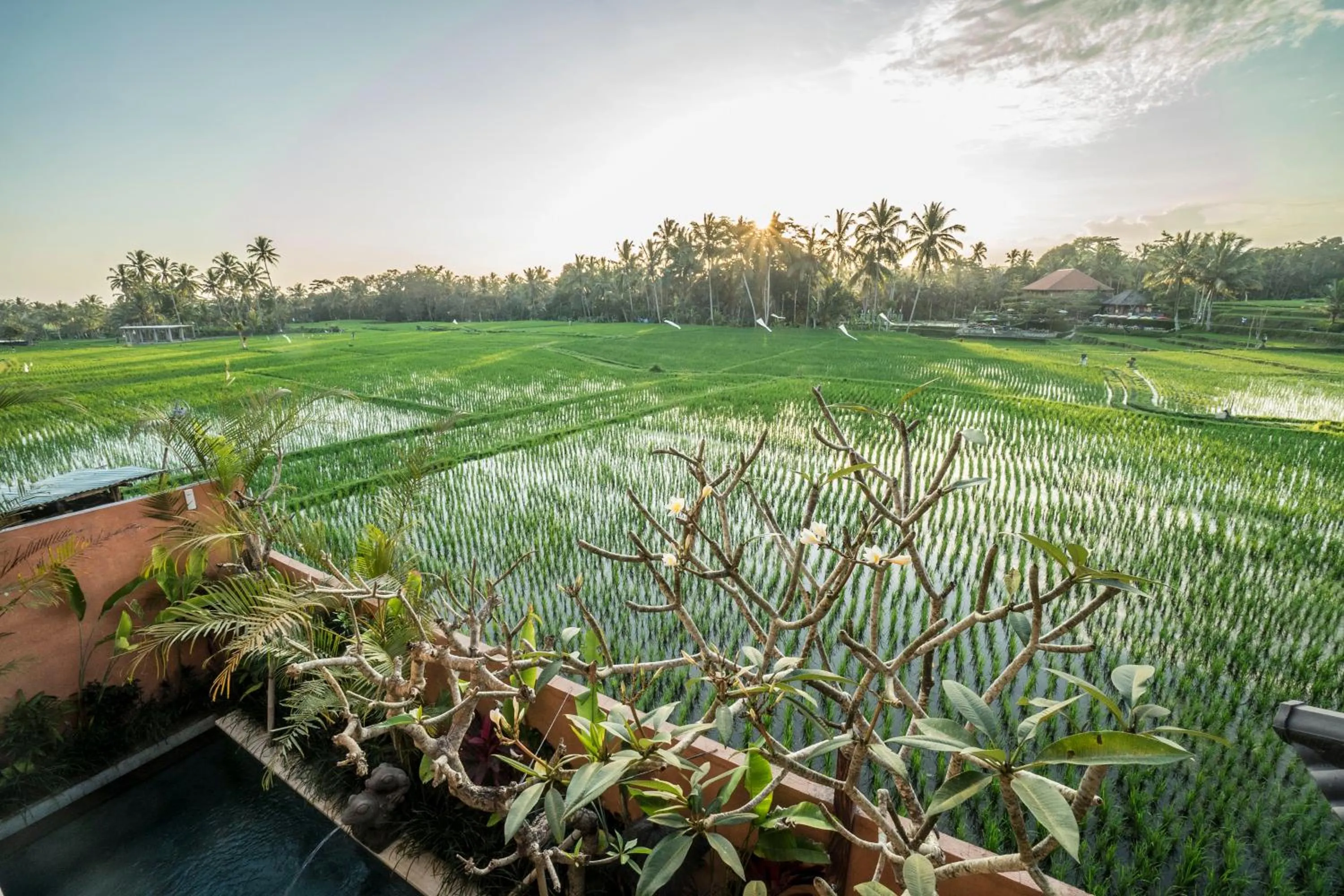 View (from property/room) in Villa Tanah Carik by Mahaputra