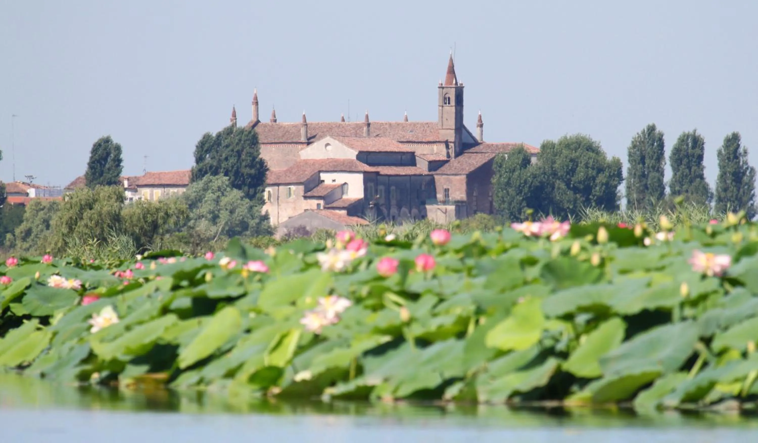 Location in Terminus