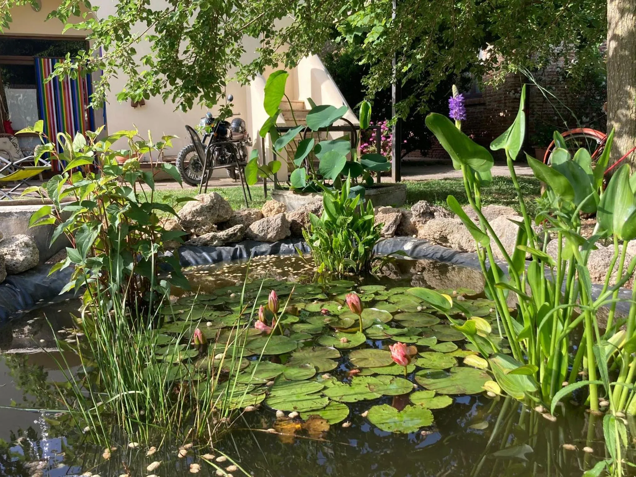Garden in Casa del Geco
