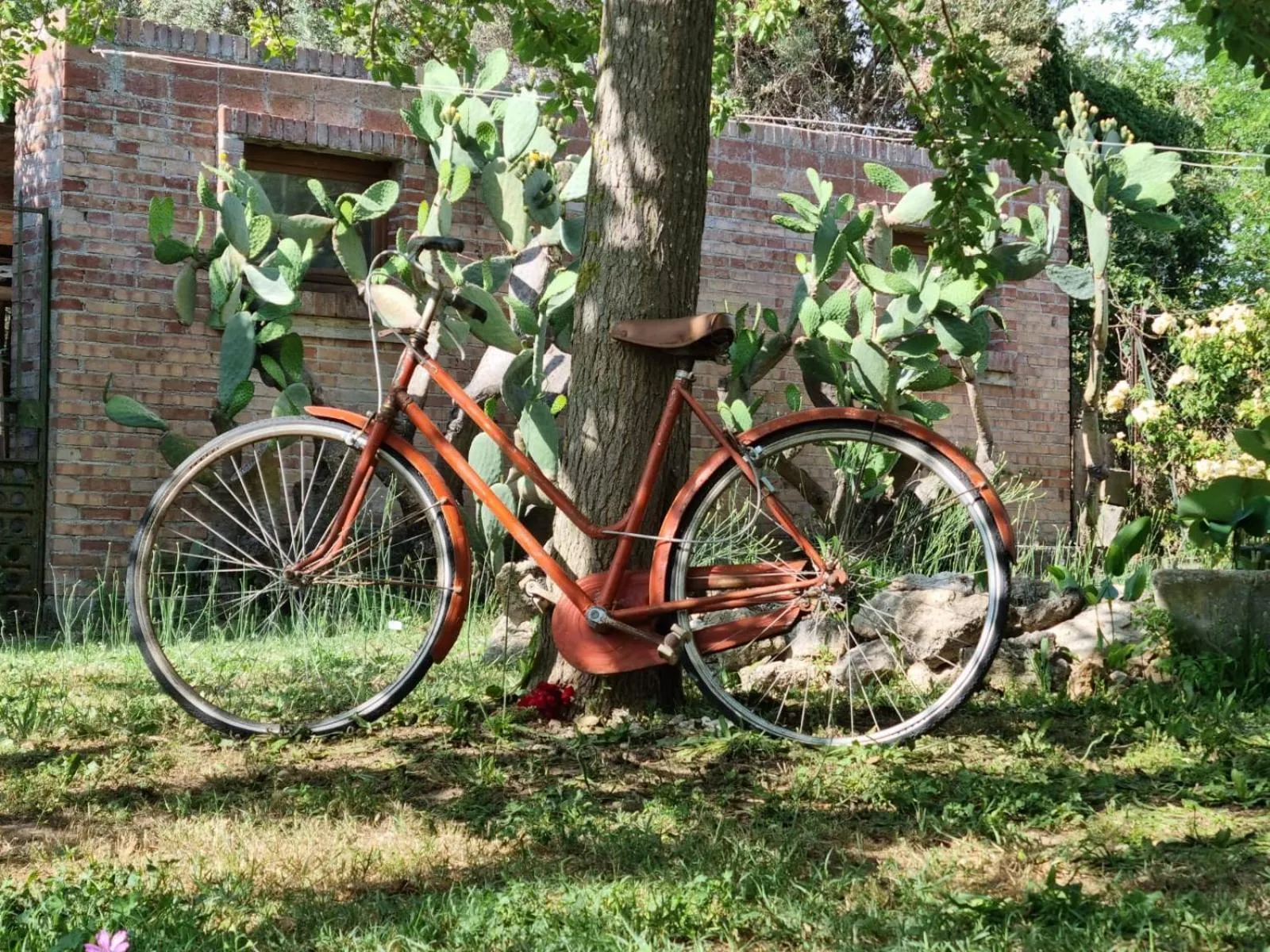 Day in Casa del Geco