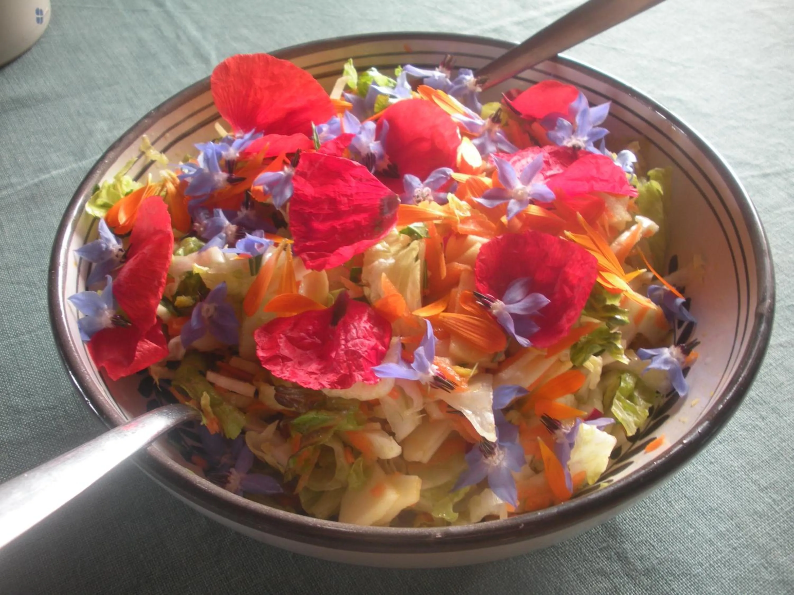 Food in Casa del Geco