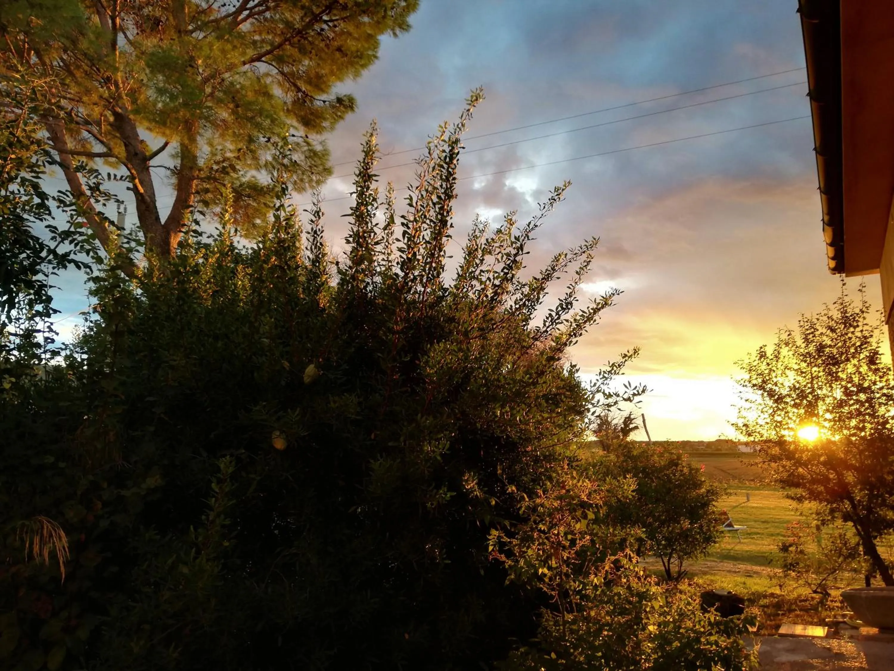 Garden in Casa del Geco