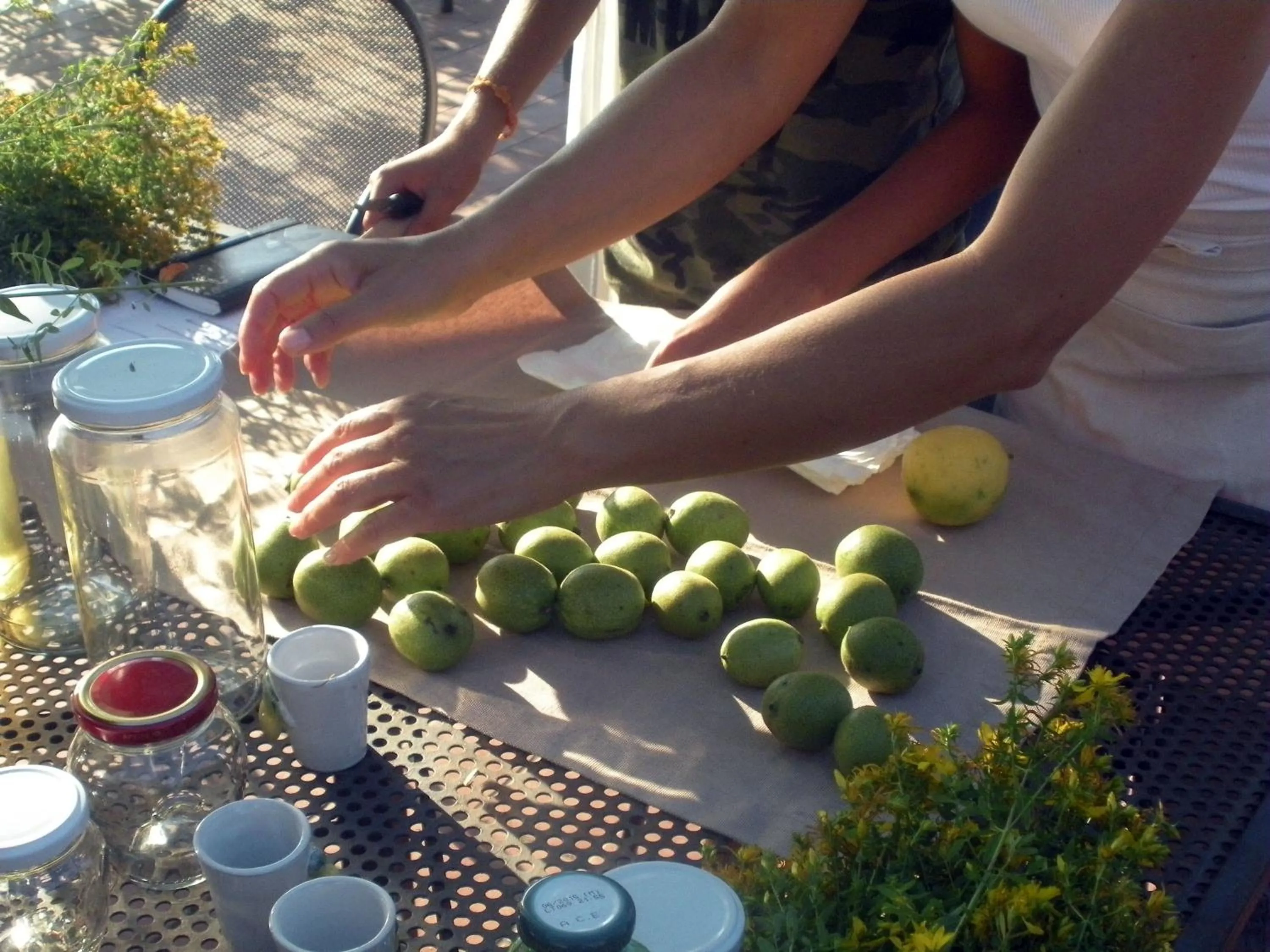 Activities in Casa del Geco